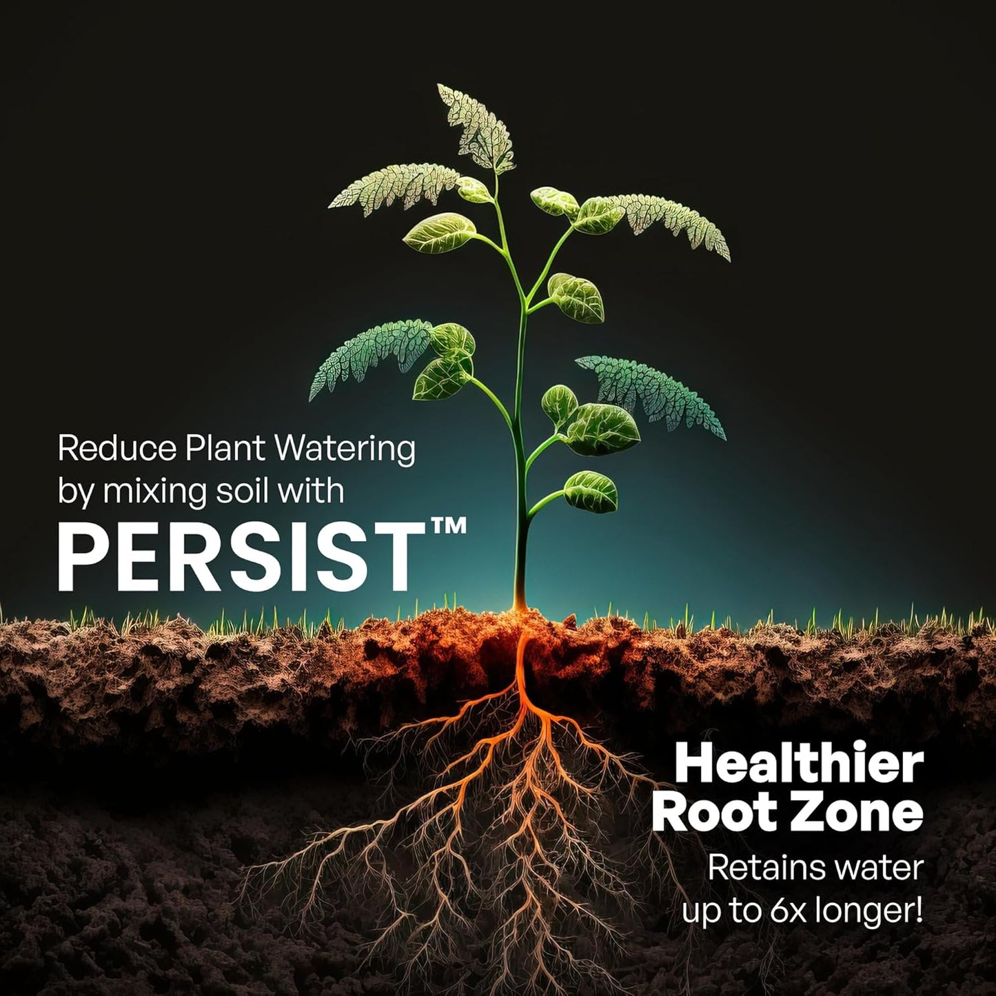 Persist Horticultural Charcoal 1.5 cuft, Biochar Soil Amendment for Plants, Improves Soil Quality, 100% Natural Active Carbon and Fertilizer Enhancer for Gardens.