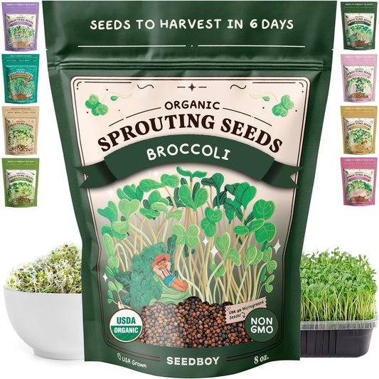 Seedboy Organic Broccoli Seeds for Sprouting - Non-GMO, USA Grown Microgreens Sprouting Seeds Mix - Makes 8 Quarts of Sprouts, 24 Servings (8 oz) (Di Cicco Broccoli)
