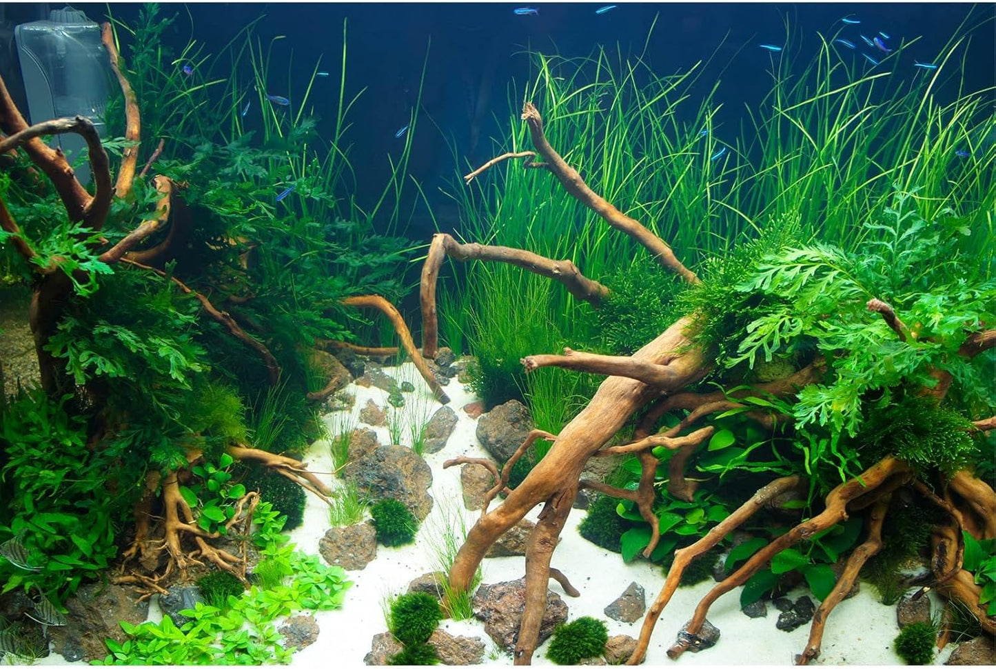 Aquarium Background Various Underwater Grass Plants Aquarium Backdrop Vivid and Fresh Green Aquatic Plants Stone River Bed and Dead Wood Yellow Stone Fish Tank Background 48x20in