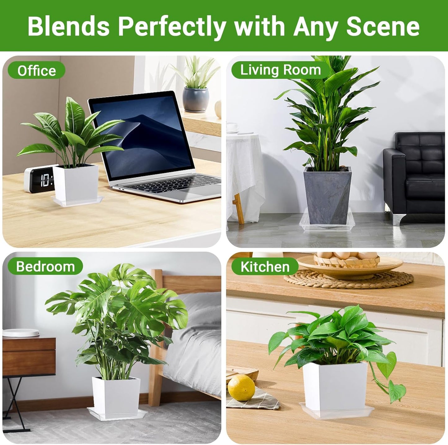 GREANER 6 Packs Square Clear Plant Saucer 6 8 10 Inch, Plastic Flower Plant Pot Saucer, Plant Watering Tray for Planter Pots, Flower Plant Drip Trays for Indoor & Outdoor Plants