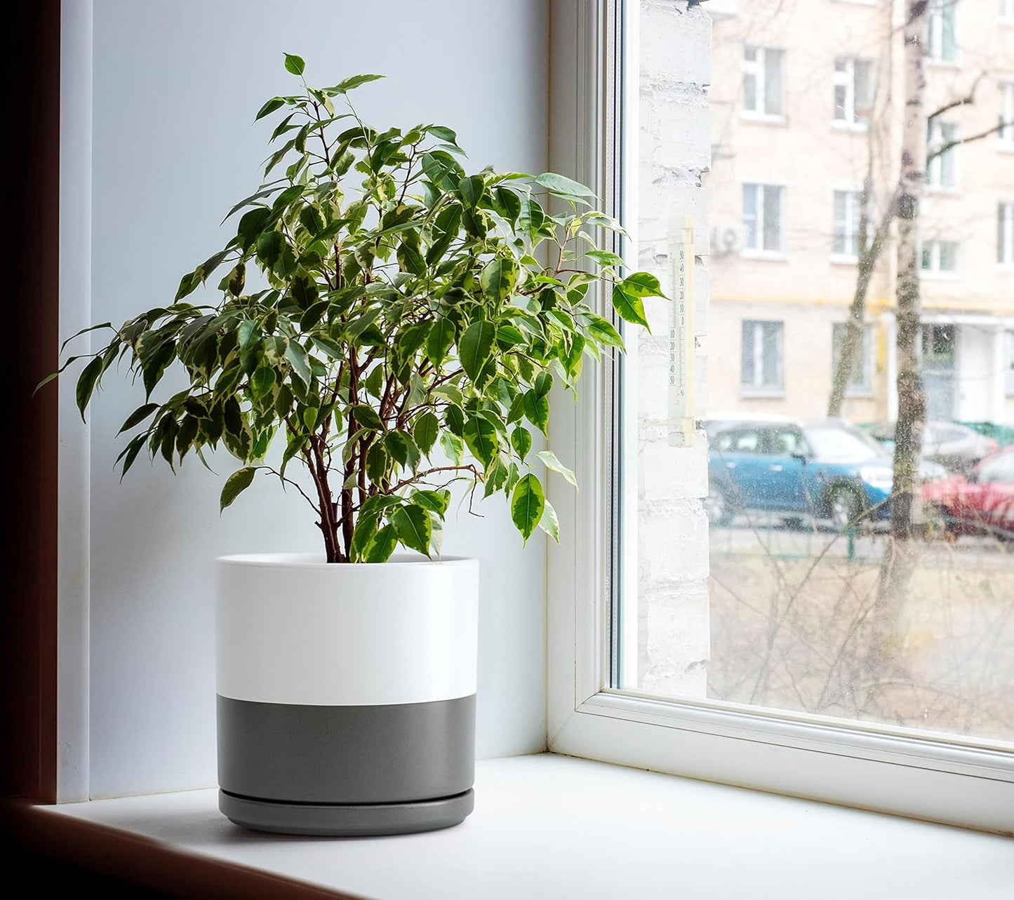 D'vine Dev 6 Inch & 8 Inch Ceramic Planter Pots for Plants with Drainage Hole and Saucer, Medium Plant Pots Set, White/Speckled Grey, 94-G-M-6