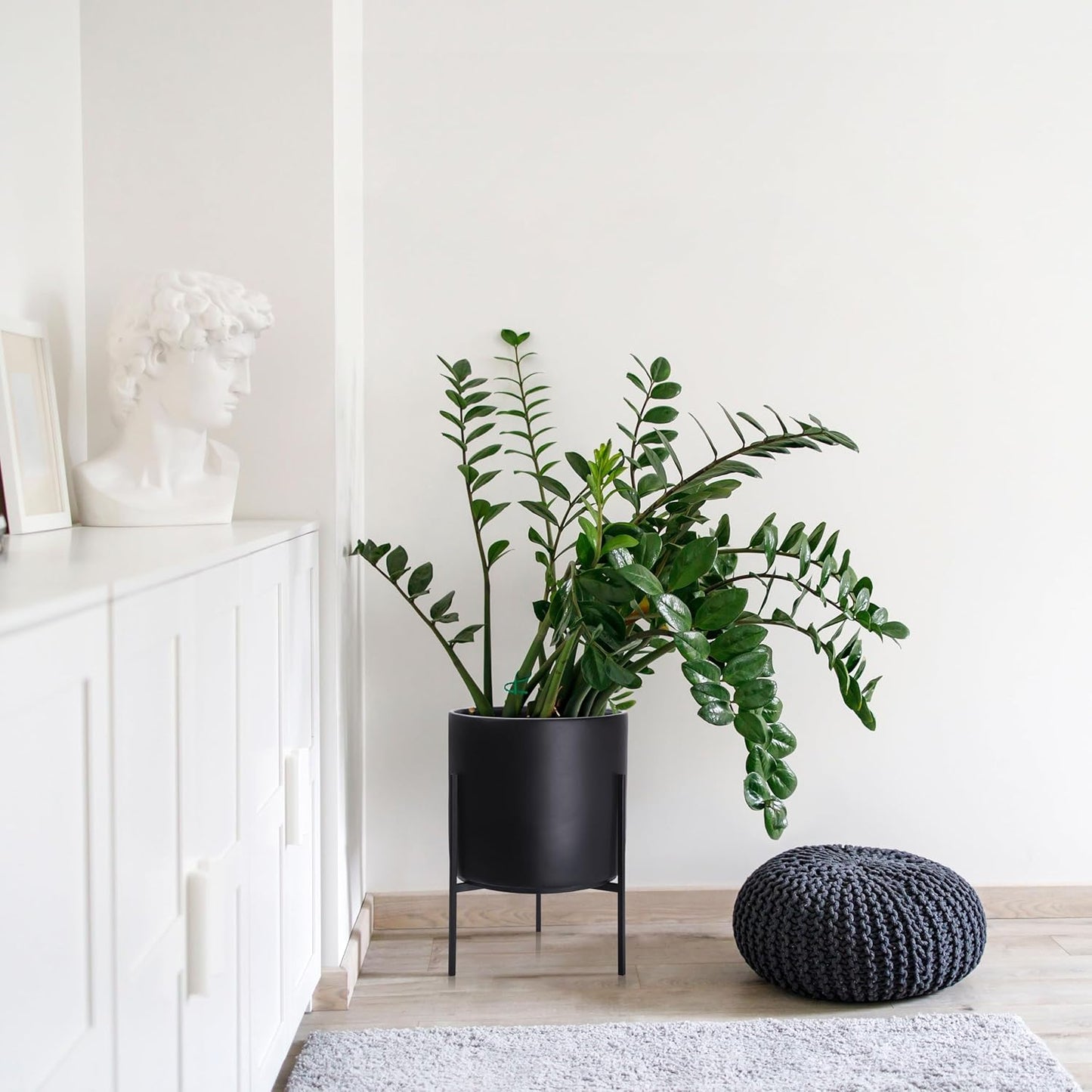 D'vine Dev Modern Black Plants Pot Cylinder Planter with Heavy Duty Stand, X-Large 14 Inch Pot, 19.6 Inch with Stand Height, 96-T-B-4