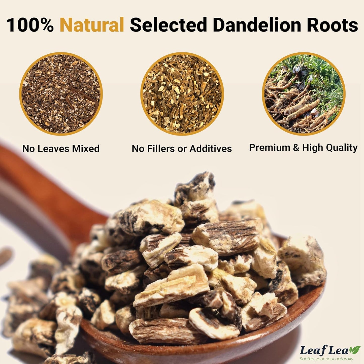 LeafLea 40 Dandelion Root Tea Bags, Dandelion Tea Supports Wellness and a Balanced Lifestyle, 100% Natural & Pure Dandelion Root, Vegan, No Sugar, Caffeine-Free