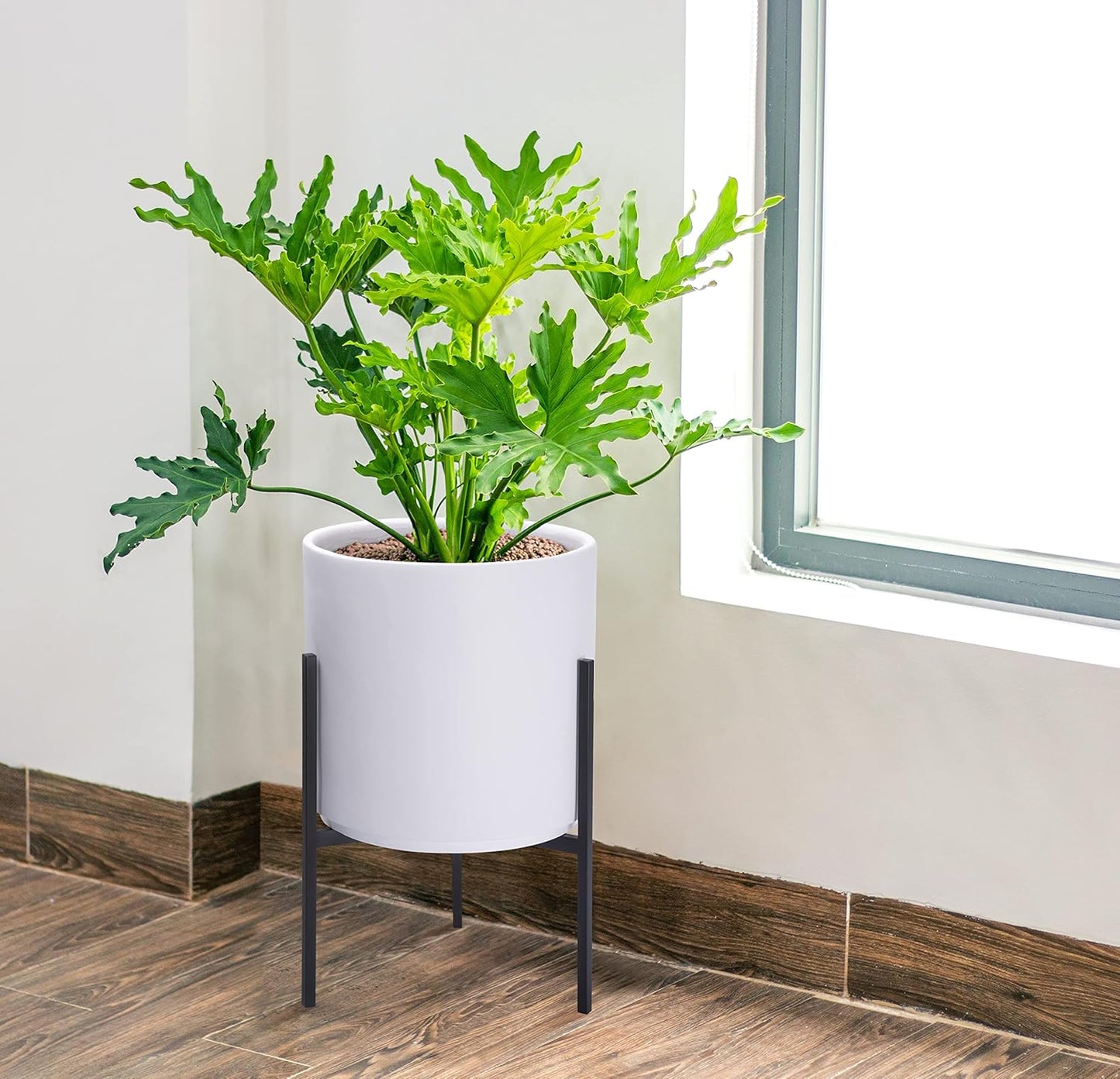 D'vine Dev Modern White Plants Pot Cylinder Planter with Heavy Duty Stand, Medium 10 Inch Pot, 16.3 Inch with Stand Height, 96-T-A-2