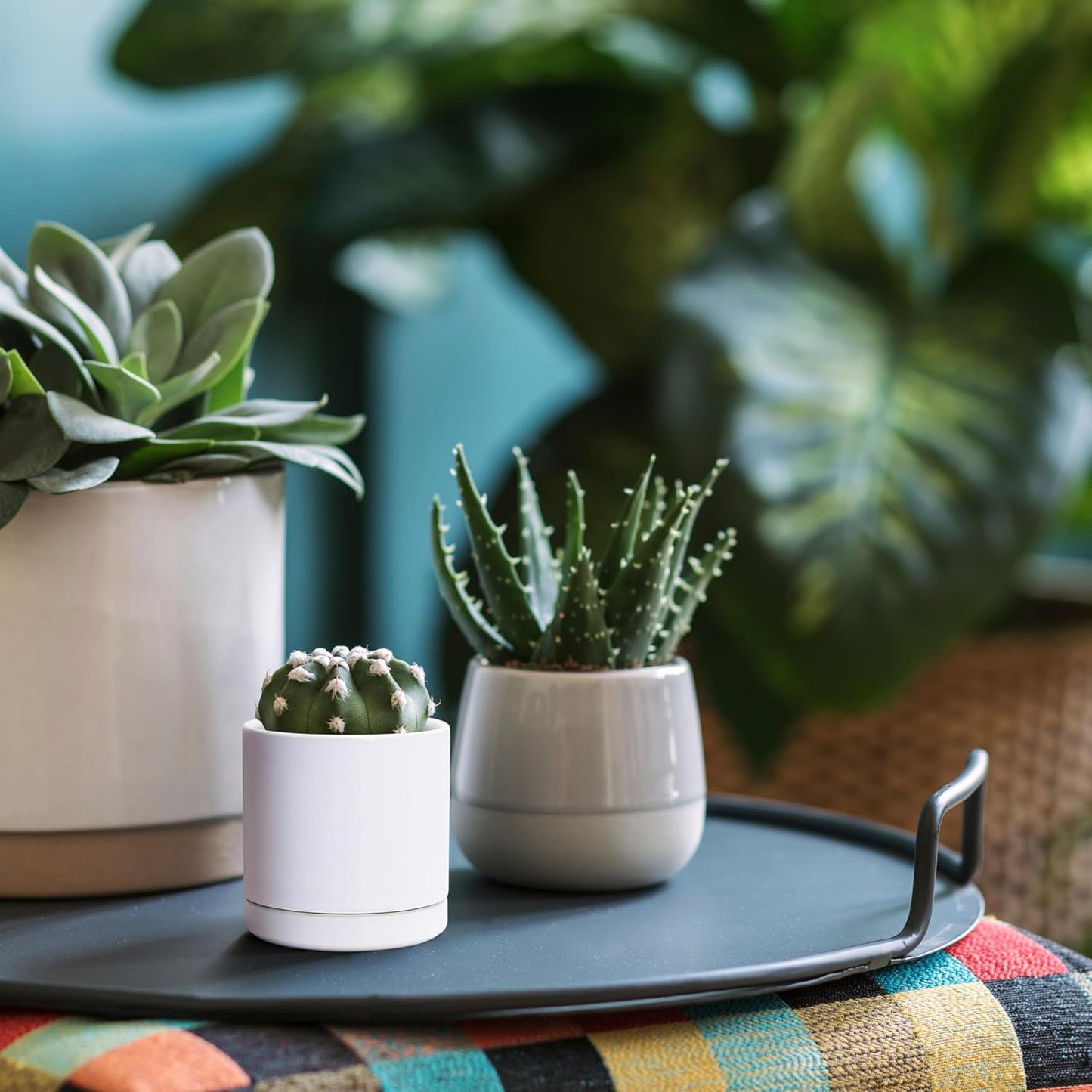 D'vine Dev Set of 2 Plants Pots, 3.5 Inch Ceramic Planter Pot for Plants with Drainage Hole and Saucer, White, 94-V-A-1