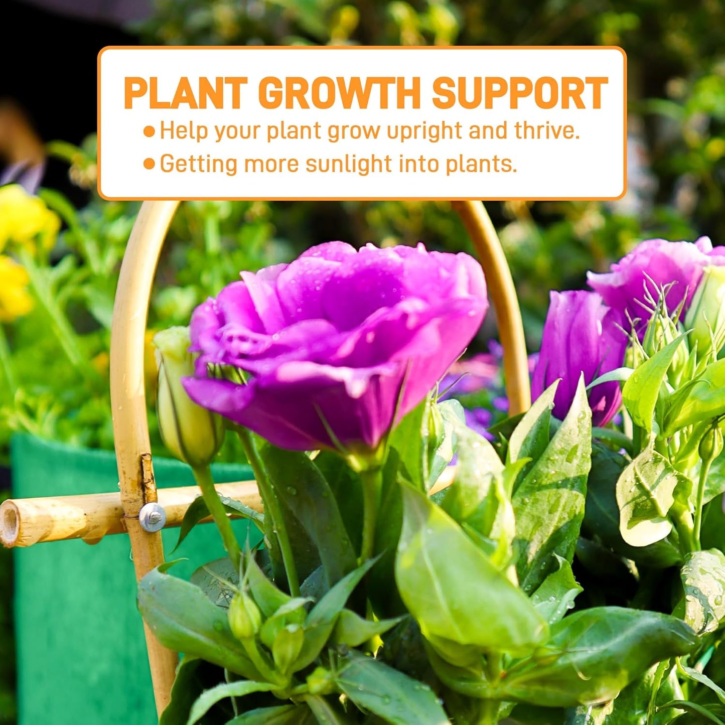 Avalution 10 Pack Bamboo U Trellis for Climbing Plants, 16 Inch Garden Ladder Trellis for Potted Plants Indoor, Ladder Small Plant Support Trellis for Houseplants Ivy Hoya Vine Monstera