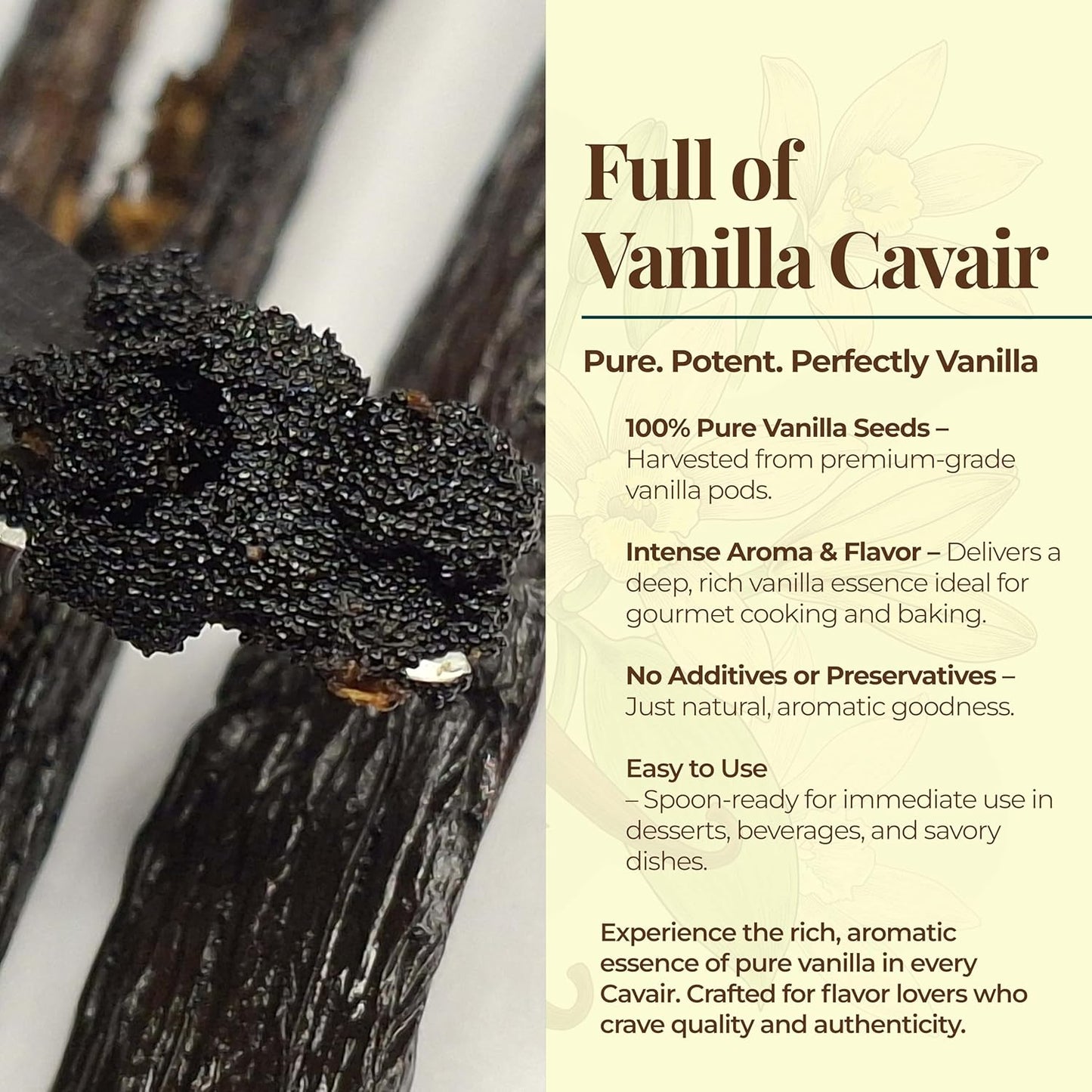 50 Vanilla Beans Grade A+, | Gourmet Whole Vanilla Bean Pods For Making Extract & Baking, Cooking & Homemade Extract| ~6-8 inches, Non-GMO. By NYVanilla