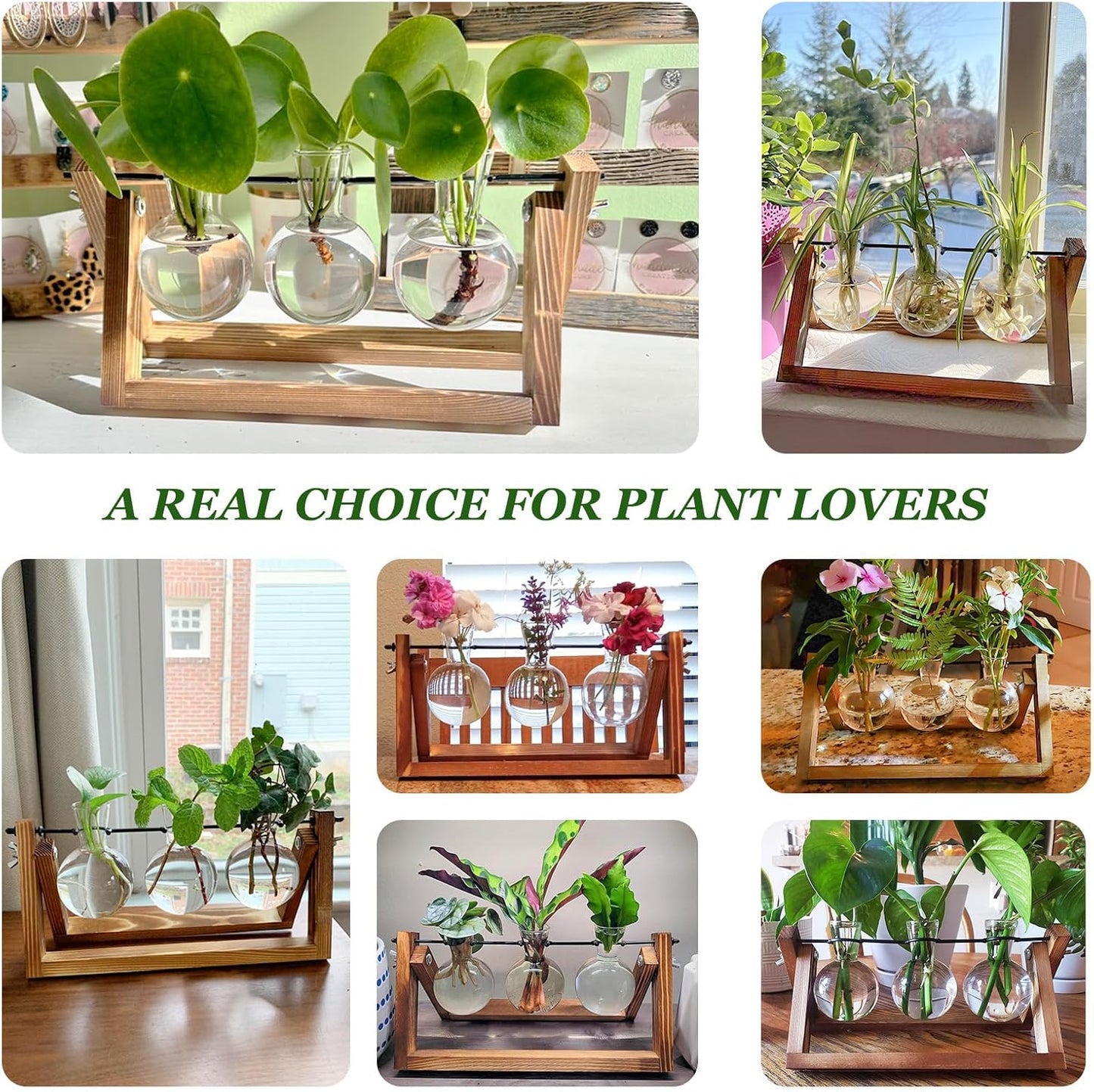 Plant Propagation Station, Plant Terrarium with Wooden Stand, Unique Gardening Birthday Gifts for Women Plants Lovers, Home Office Garden Decor Planter - 3 Bulb Glass Vases