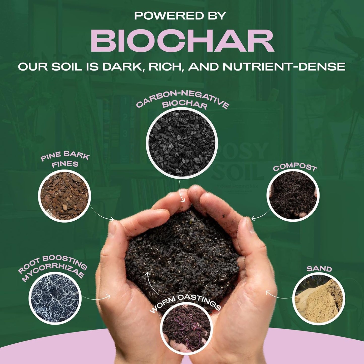 Seedling Seed Starter Soil Mix - Peat-Free Organic Potting Mix for Seeds, Cuttings, Microgreens- Enriched w/Worm Castings, Root-Boosting Biochar, Less Prone to Gnats for Germination & Propagation- 4qt