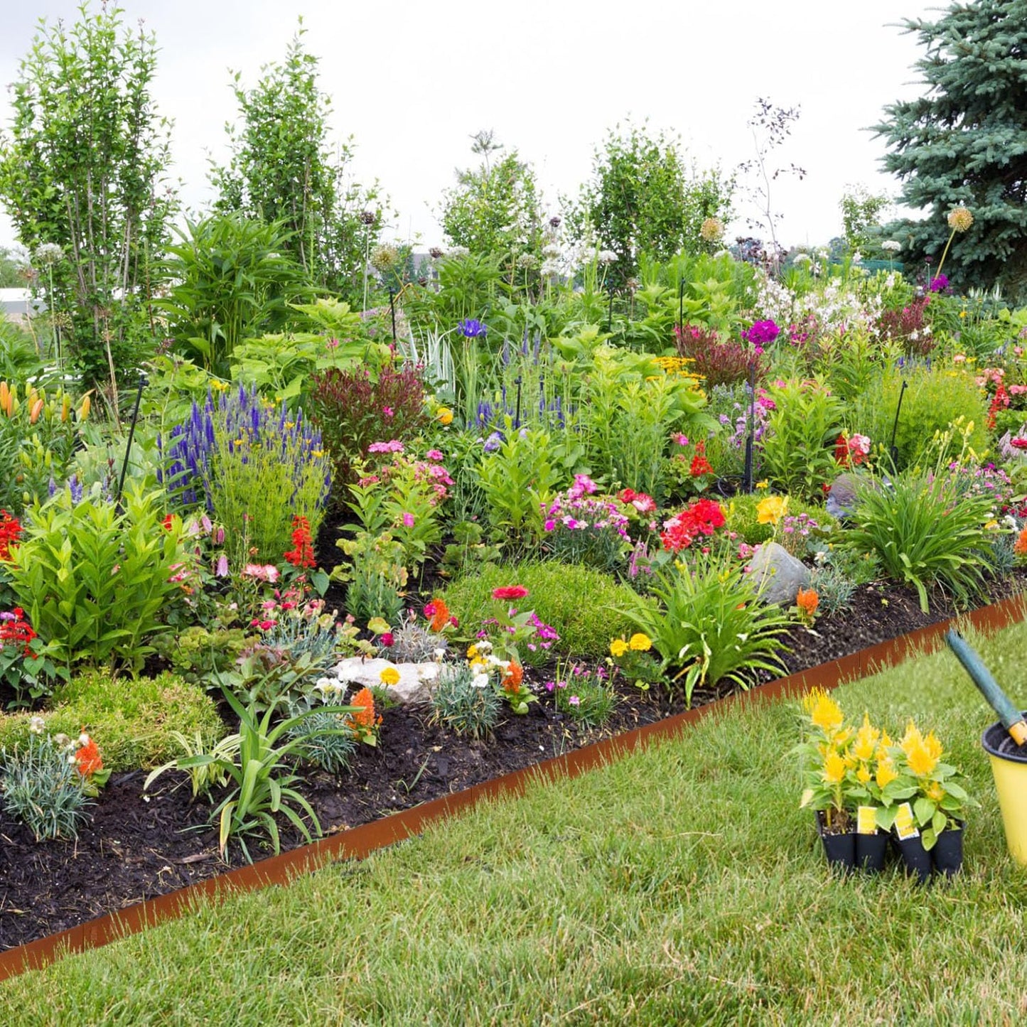 Corten Steel Landscape Edging 4.5 Inch Depth Steel Landscaping Edging 40 Inch Strips10 pcs Metal Garden Landscape Border Rusted Edge for Lawn Yard Outdoor Plant by GZGNEEVL