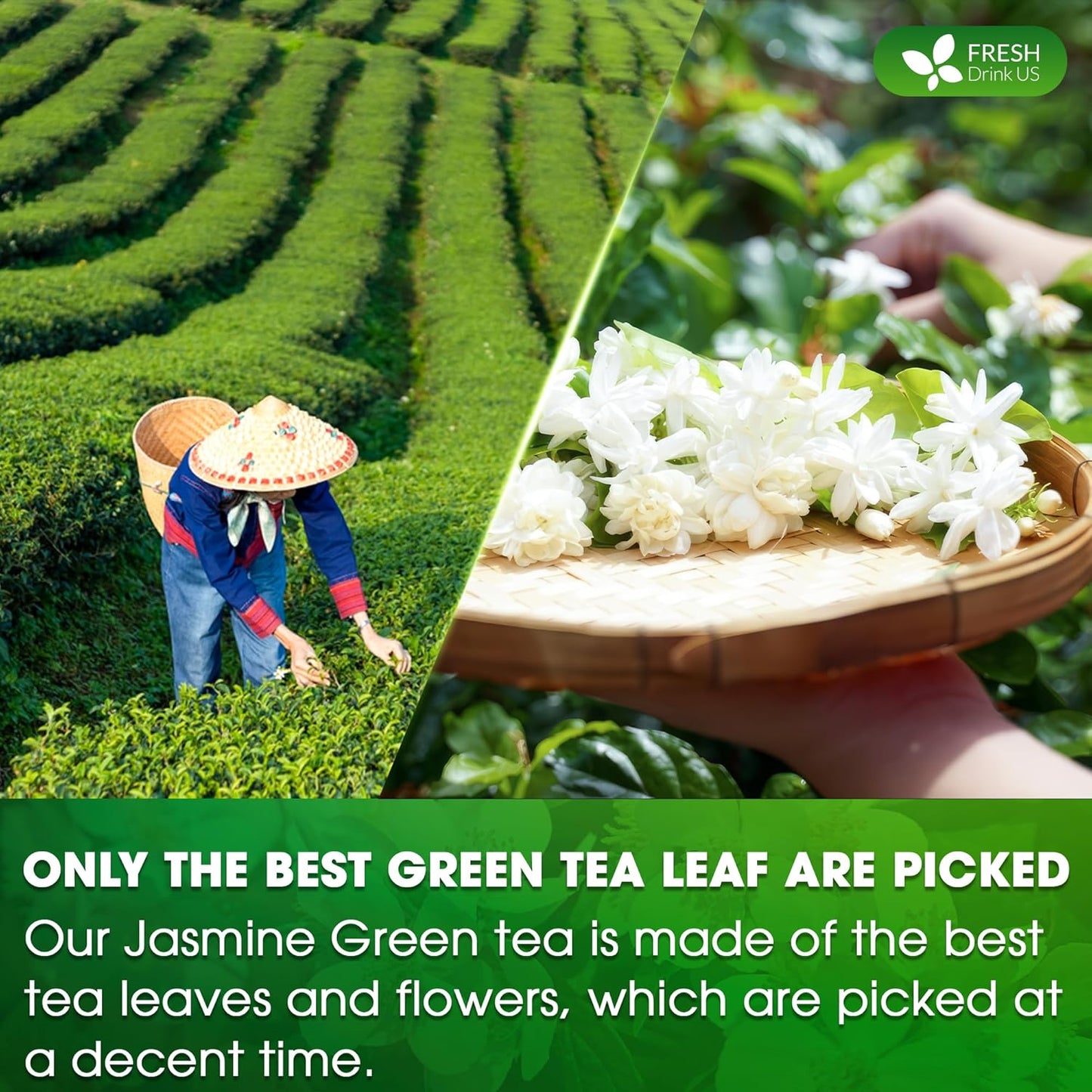 FreshDrinkUS, Premium 40 Jasmine Green Tea Bags, 100% Natural & Pure from Jasmine Green Tea. Jasmine Green Herbal Tea. Made with Natural Material Tea Bags. No Sugar, No Gluten, Vegan.