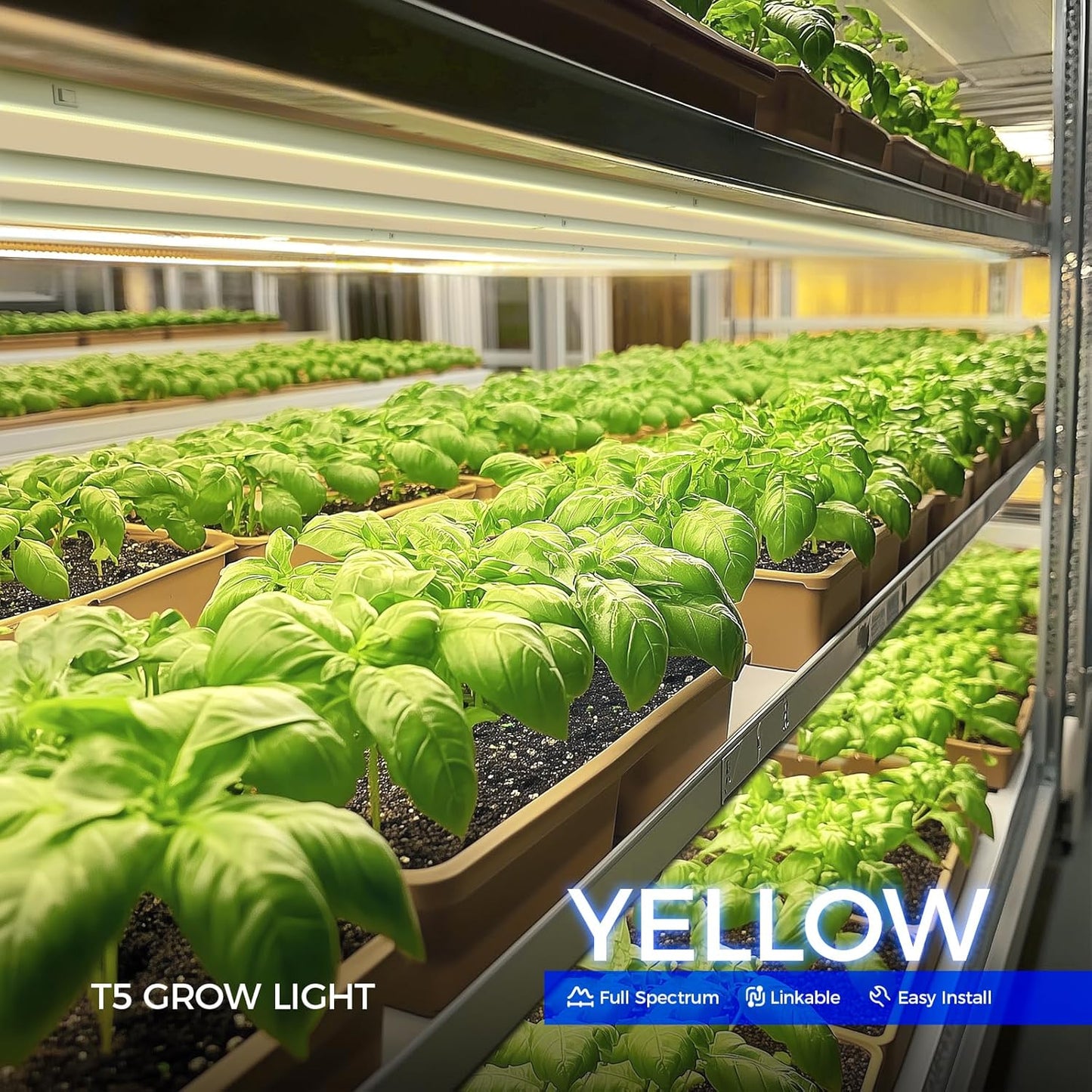 Barrina T5 Grow Lights, Full Spectrum Grow Light, 3ft 128W (8 x 16W, 800W Equivalent), LED Grow Lights for Indoor Plants, Ideal for Indoor Plants, Plant Grow Shelf, Plug and Play, Yellow, 8-Pack