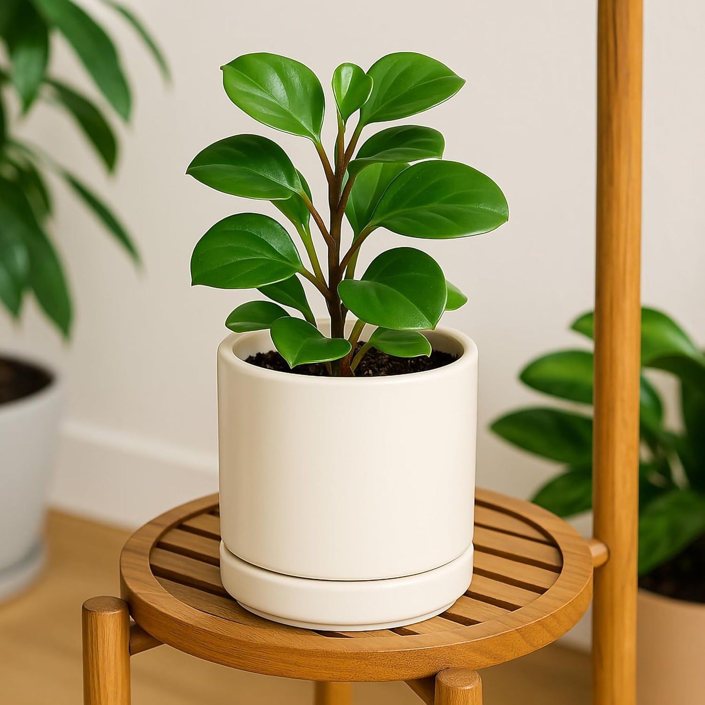 D'vine Dev Set of 2 Plants Pots, 6.5 Inch Ceramic Planter Pot for Plants with Drainage Hole and Saucer, Oatmeal, 94-V-C-8