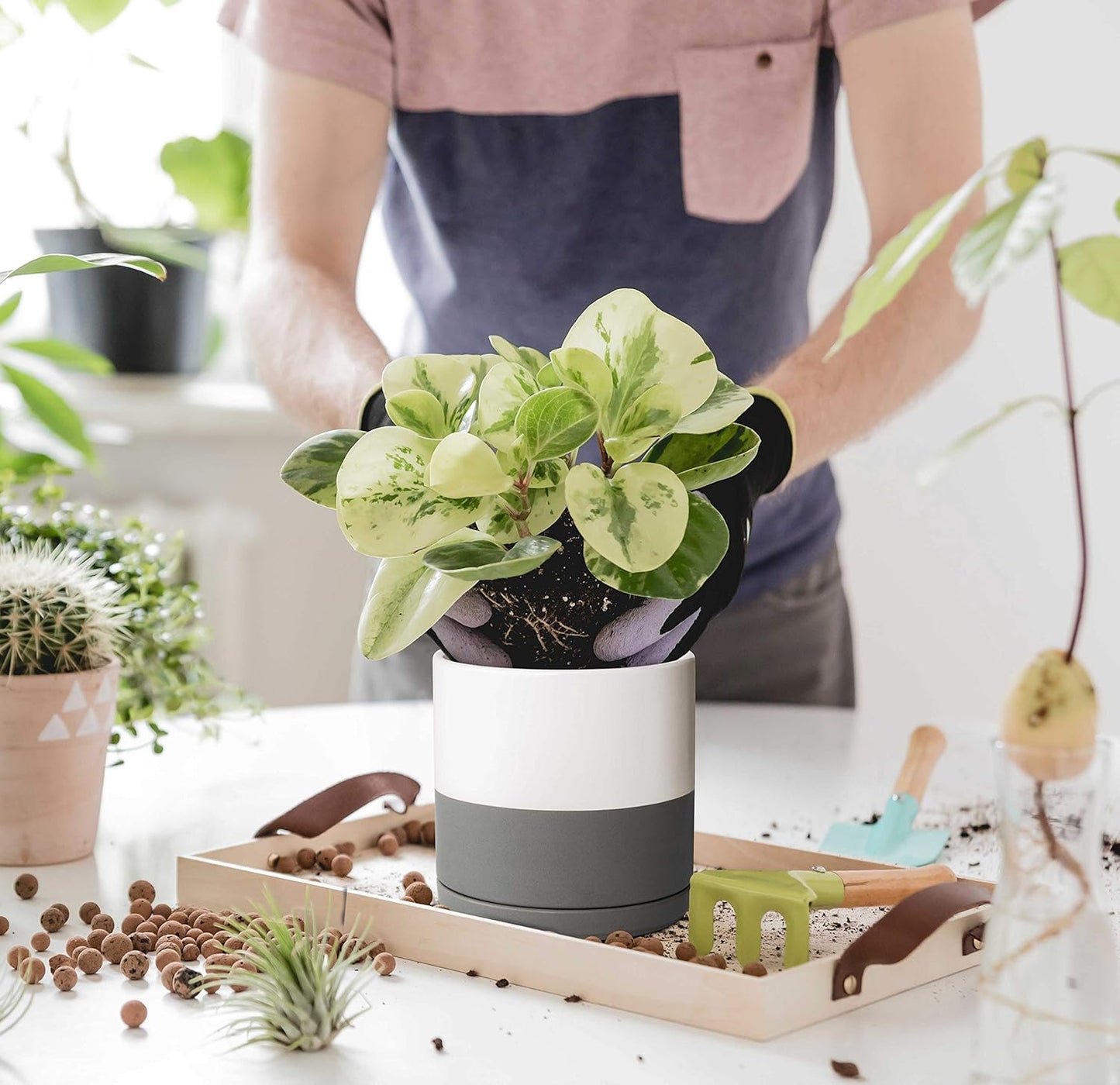 D'vine Dev Set of 2 Plants Pots, 6 Inch Ceramic Planter Pot for Plants with Drainage Hole and Saucer, White/Speckled Grey, 94-V-C-6