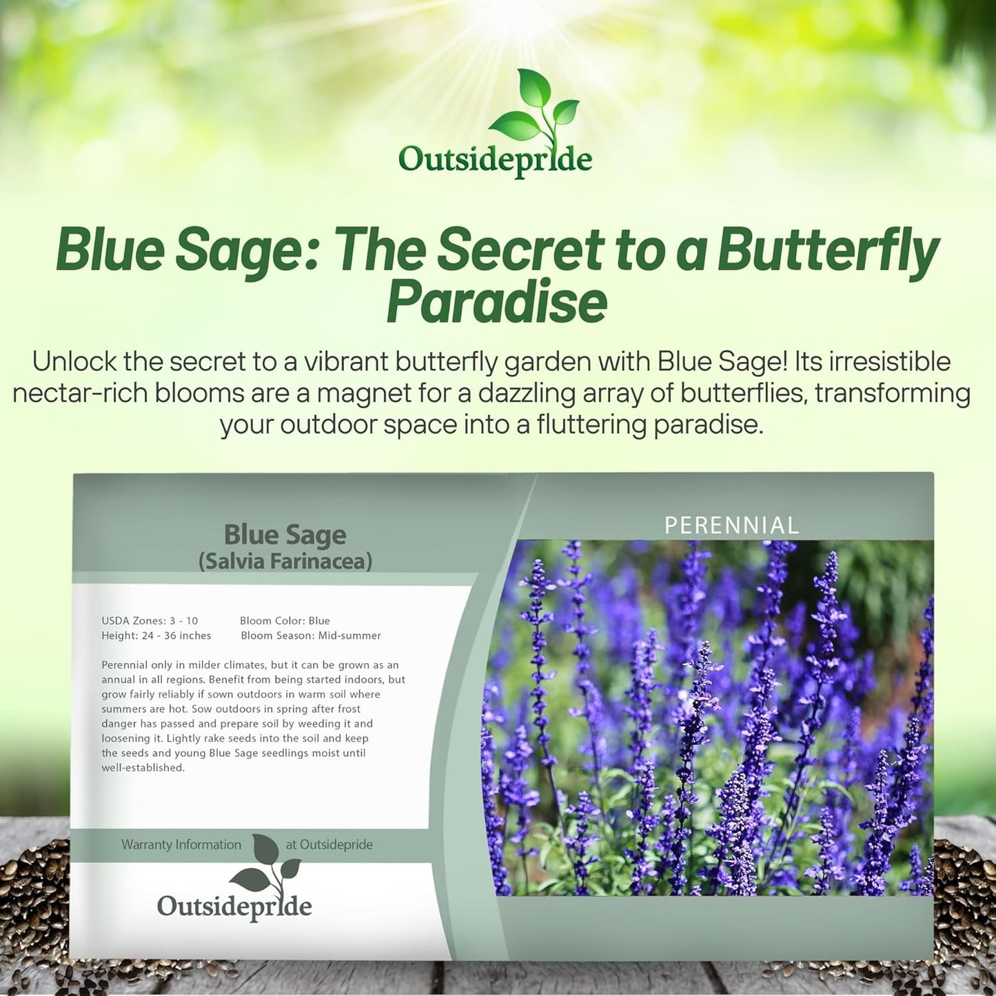 Outsidepride Blue Sage Seeds - 5000 Pcs Perennial, Drought-Tolerant & Deer-Resistant Wildflower Seeds w/Fragrant Blooms for Pollinator Attractant for Butterfly & Hummingbird Gardens & Landscaping