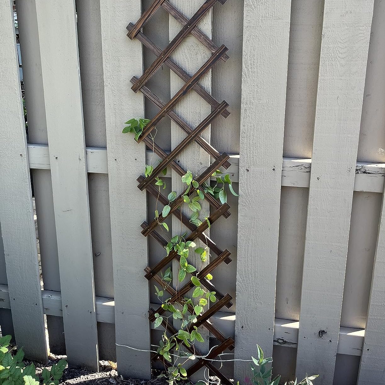 Expandable Garden Trellis, Wooden Lattice Wall Fence Trellis for Climbing Plants Ivy Vine Rose Clematis 13" x 68" for Outdoor Garden Patio Room Decor (1)