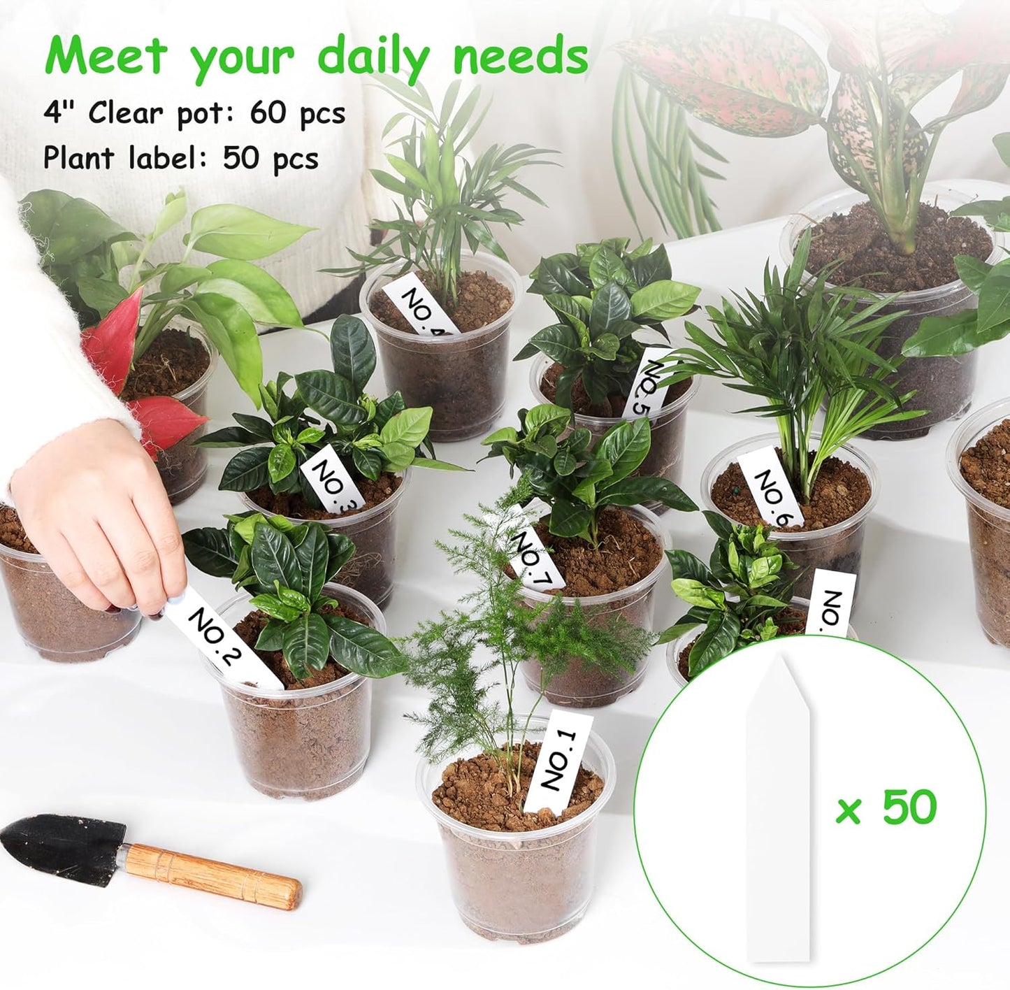 60 Pack 4 Inch Clear Nursery Pots with Drainage Holes, Transparent Plastic Plant Pot, Reinforced Seed Starter Pots Flower Pots Come with 50pcs Plant Labels