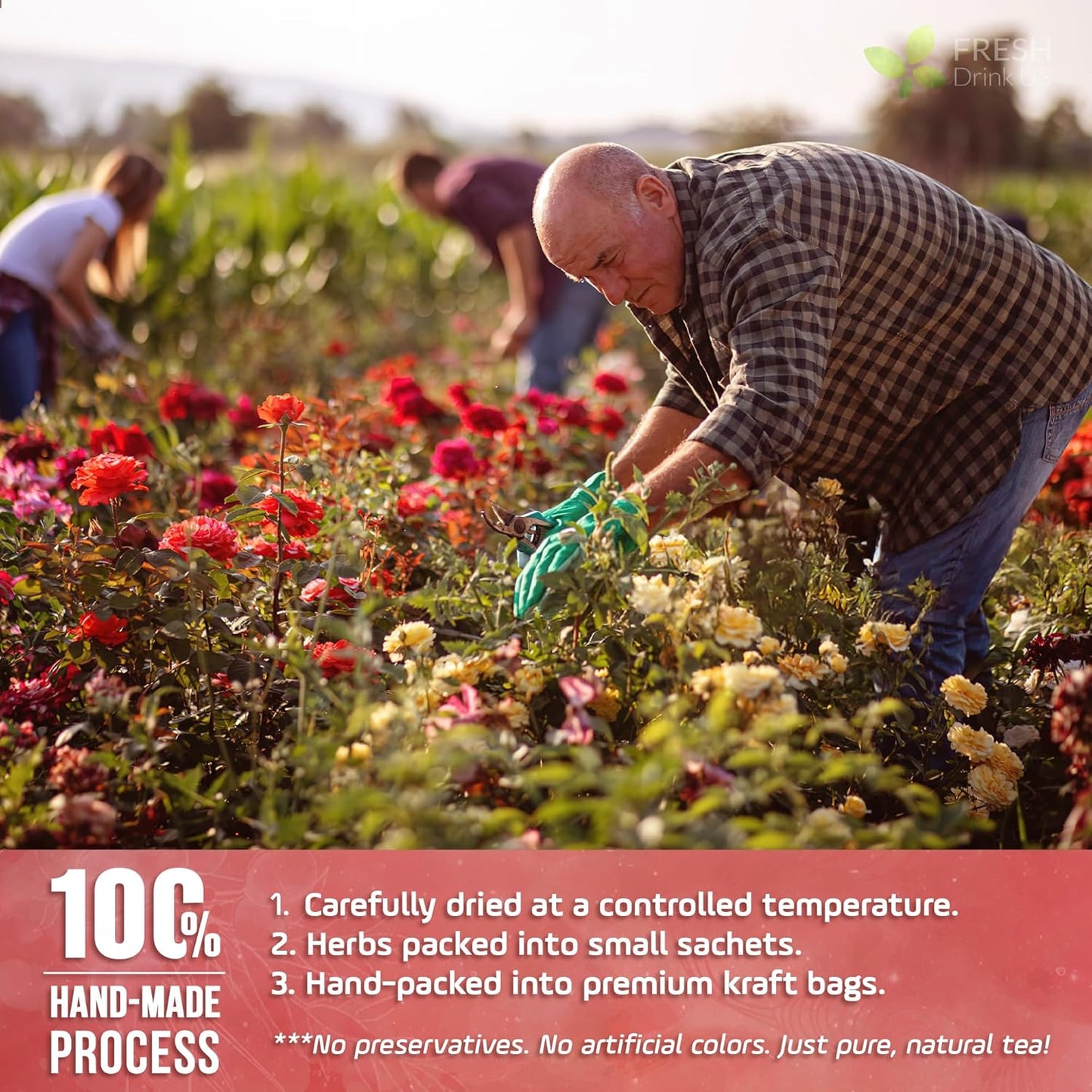 FreshDrinkUS, Premium 15 Flowering Tea Balls – Green Tea, Lily, Jasmine, Rose, Gomphrena & More – Beautiful Hand-Tied Blooming Teas for Relaxation & Wellness – Caffeine-Free. Ideal Gift for Tea Lovers