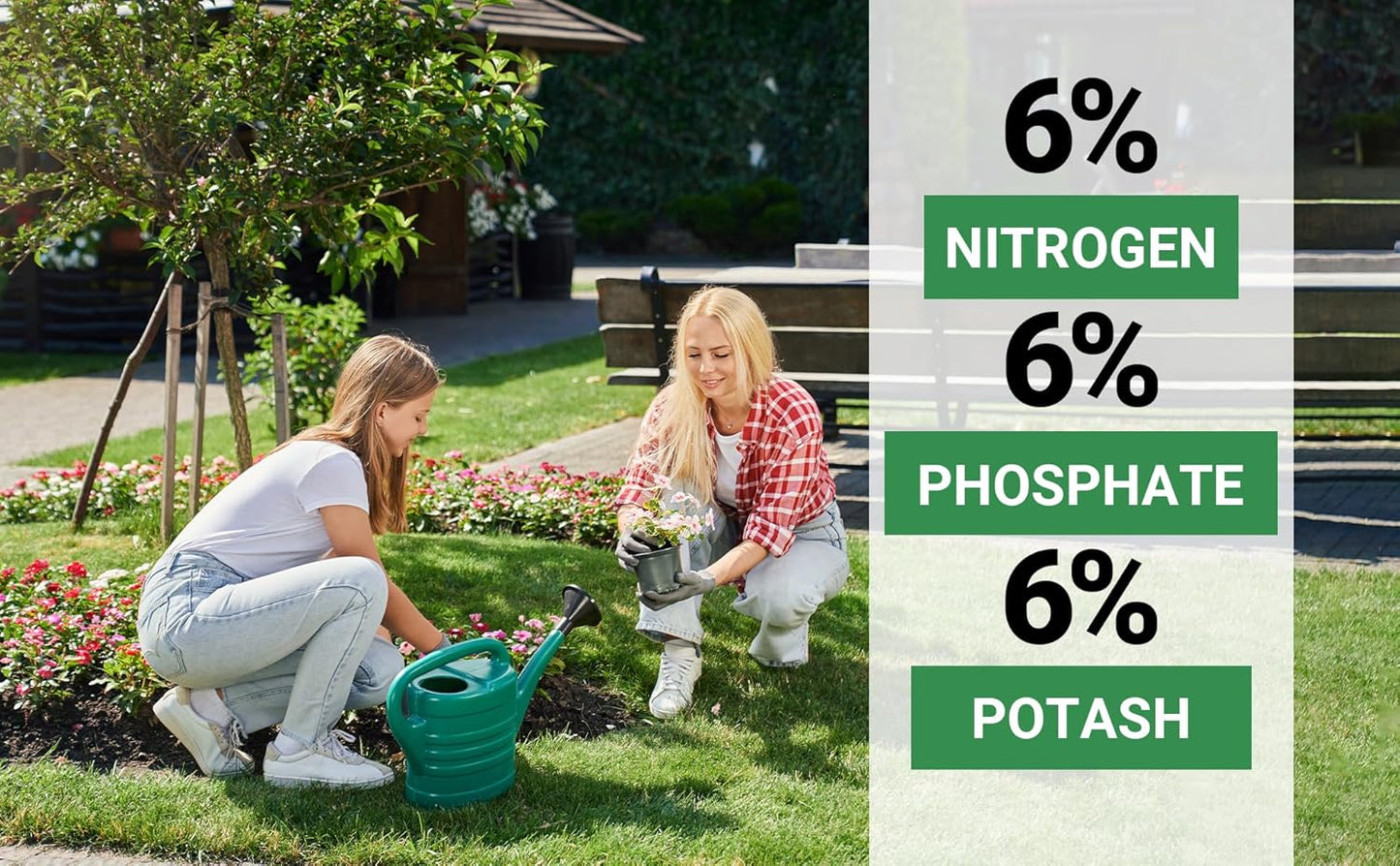 6-6-6 All-Purpose Professional Plant Food Fertilizer; Ideal for Winter Care & Spring Feeding, Perfect Balanced NPK for Indoor and Outdoor Plants (4 QUARTS)