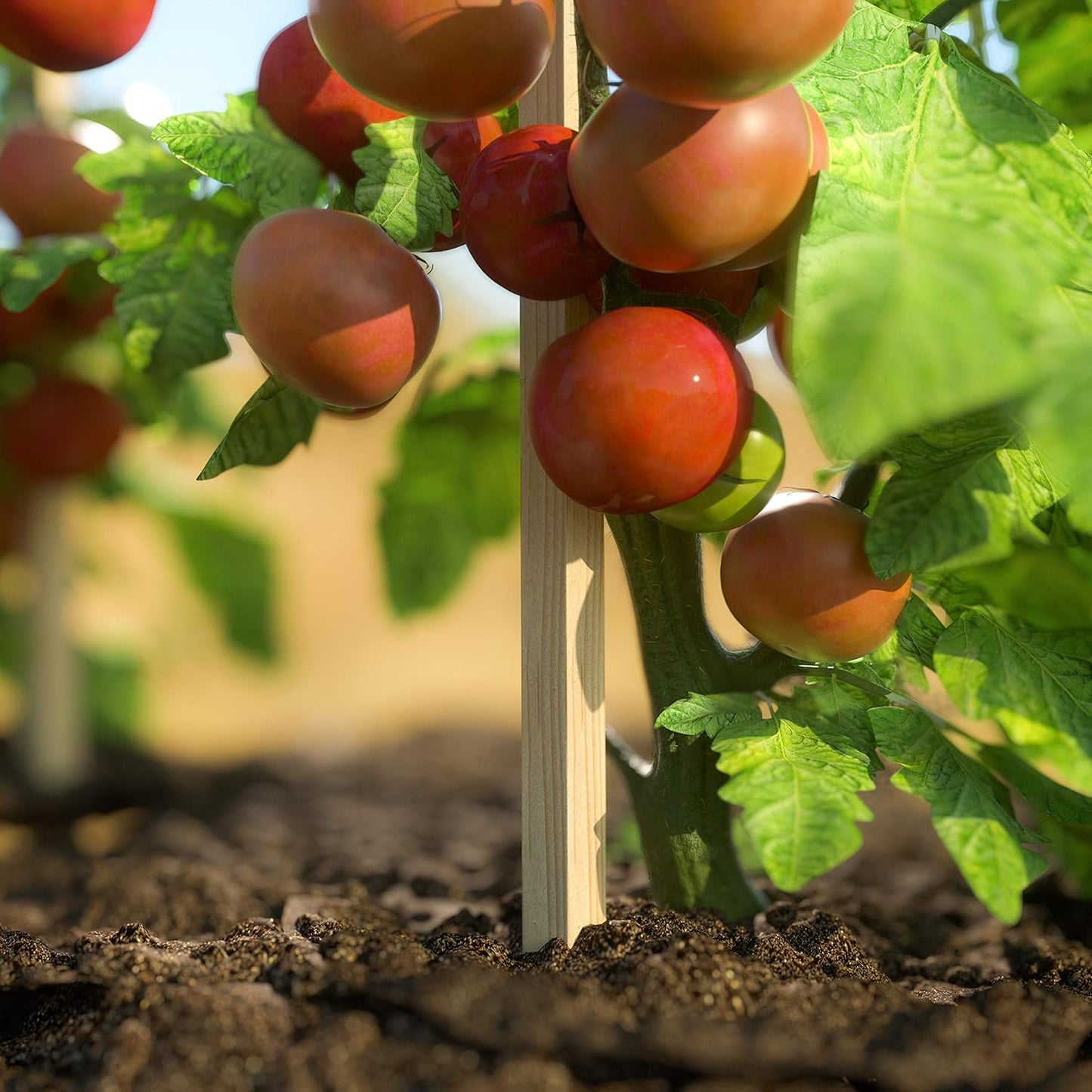 Greenes Fence 3 Ft. Wooden Garden and Sign Post Stakes (75-Pack)