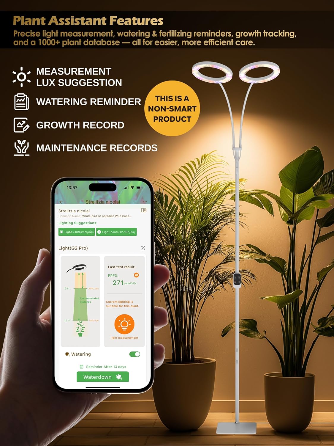 GLOWRIUM Grow Lights for Indoor Plants,Plant Light with 3/9/12/16H Grow Light Timer,2-Head 48W Full Spectrum LED Grow Light, 3 Lighting Mode and Stepless Dimming (White, 48W)