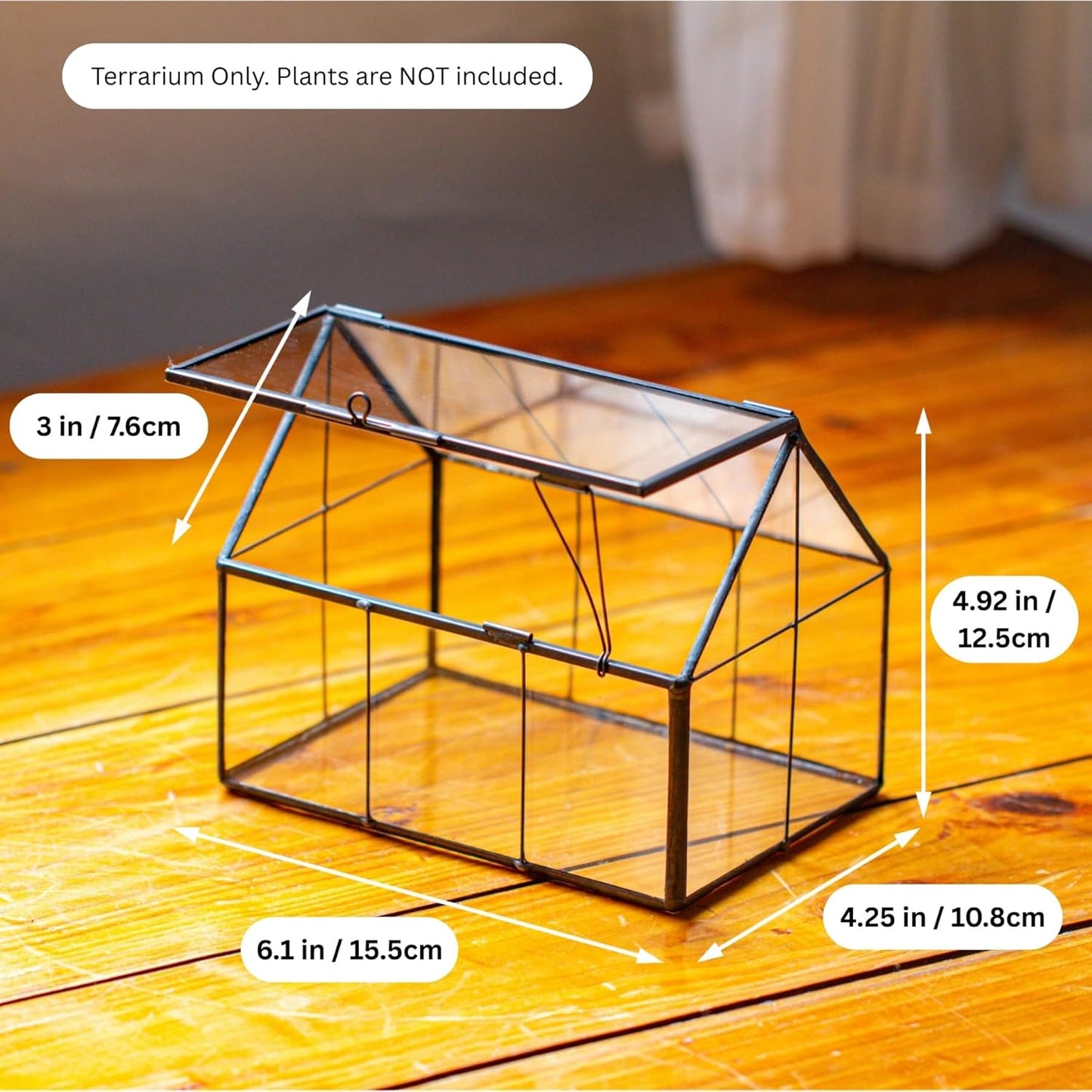 NCYP Mini Glass Terrarium with Lid - 6.1" x 4.25" x 4.92" House Shape Closed Planter Pot for Small Cactus, Succulents Plant - Home Garden Office Tabletop Geometric Decor, Black (Terrarium Only)