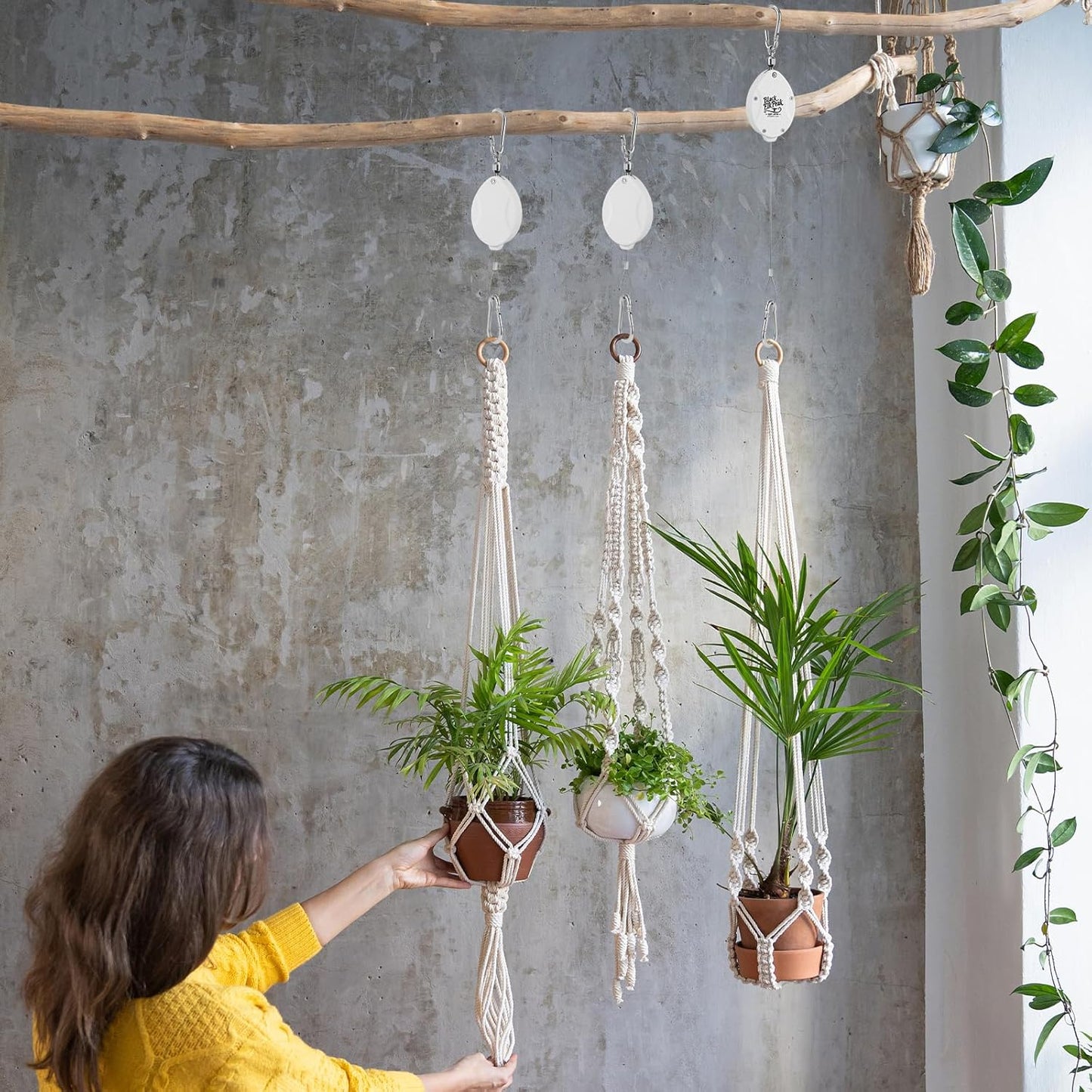 Plant Pulleys for Hanging Plants, Heavy Duty Retractable Hangers, 304 Stainless Steel Rope, Auto Plant Holder, Adjustable Climbing Hook for Garden Baskets Watering, or Bird Feeders (White-6)