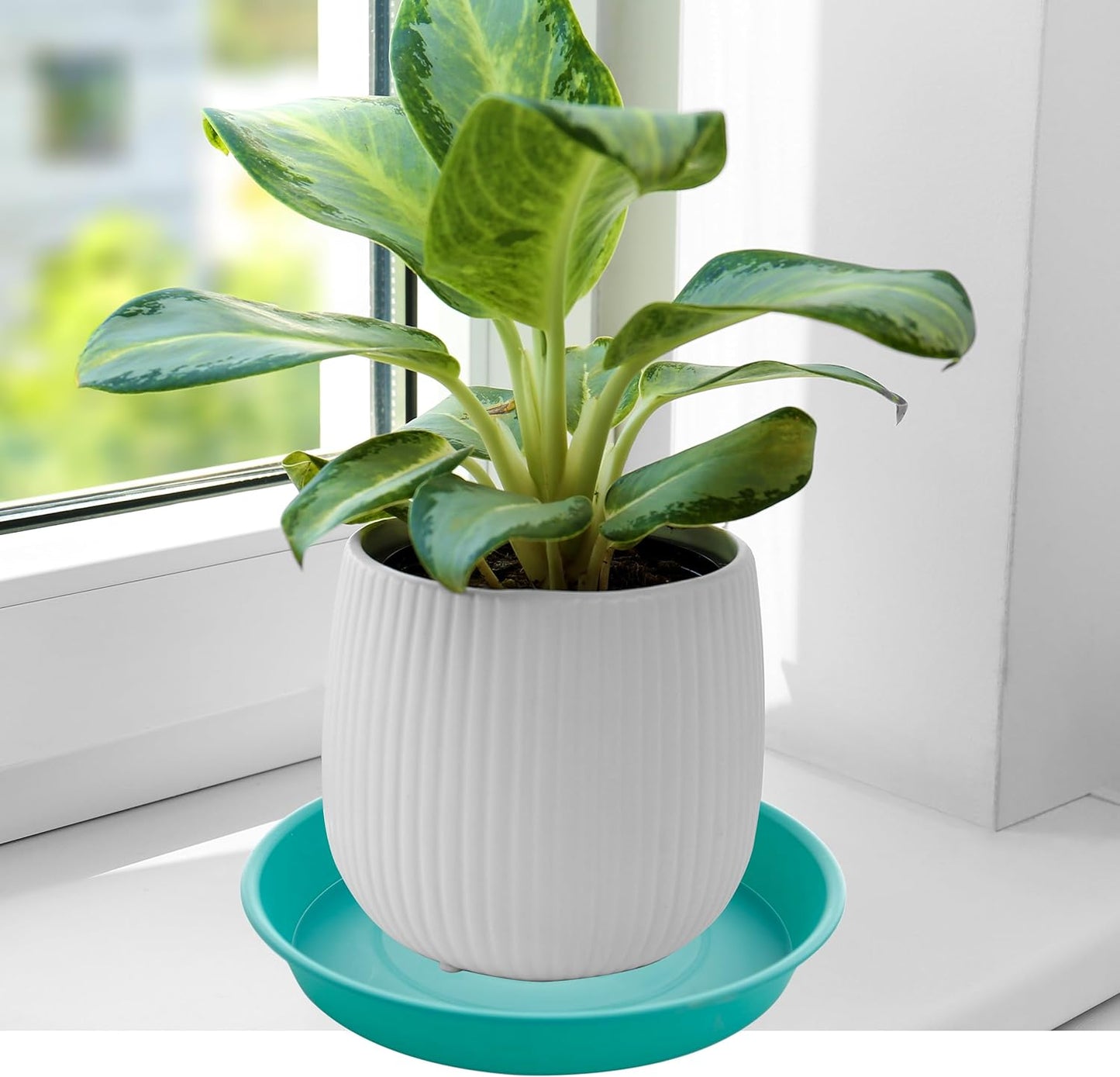 6 Pack of 12 inch Plant Saucer, Heavy Duty Plastic Plant Saucer 12" Round, Durable Plant Tray for Pots, Plant Saucers for Indoors, Plant Trays for Planter (12", Teal)