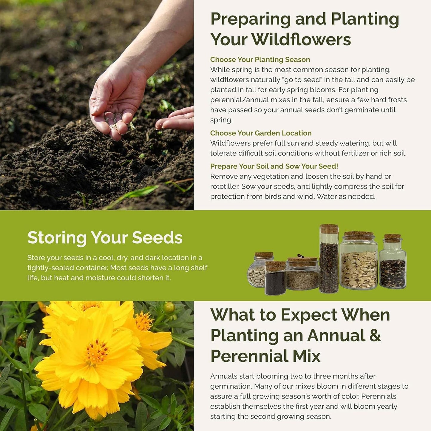 Eden Brothers Mellow Yellow Flower Mixed Seeds for Planting, 1 lb, 480,000+ Seeds with Painted Daisy, Zinnia, Cosmos | Attracts Pollinators, Plant in Spring or Fall, Zones 3, 4, 5, 6, 7, 8, 9, 10