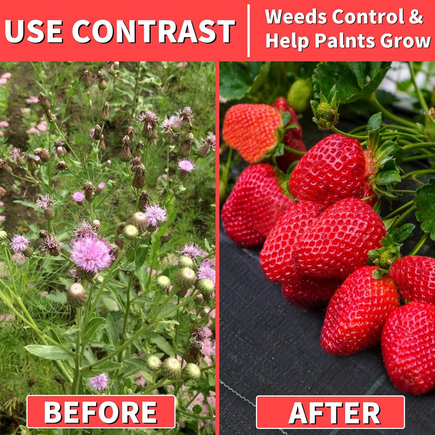 4ft x 100ft Landscape Fabric -Heavy Duty Weed Barrier Fabric for Landscaping, Weed Blocker Cloth,Geotextile Fabric for Garden, Driveway & Ground Cover, Garden Weed Mats,Grid Design