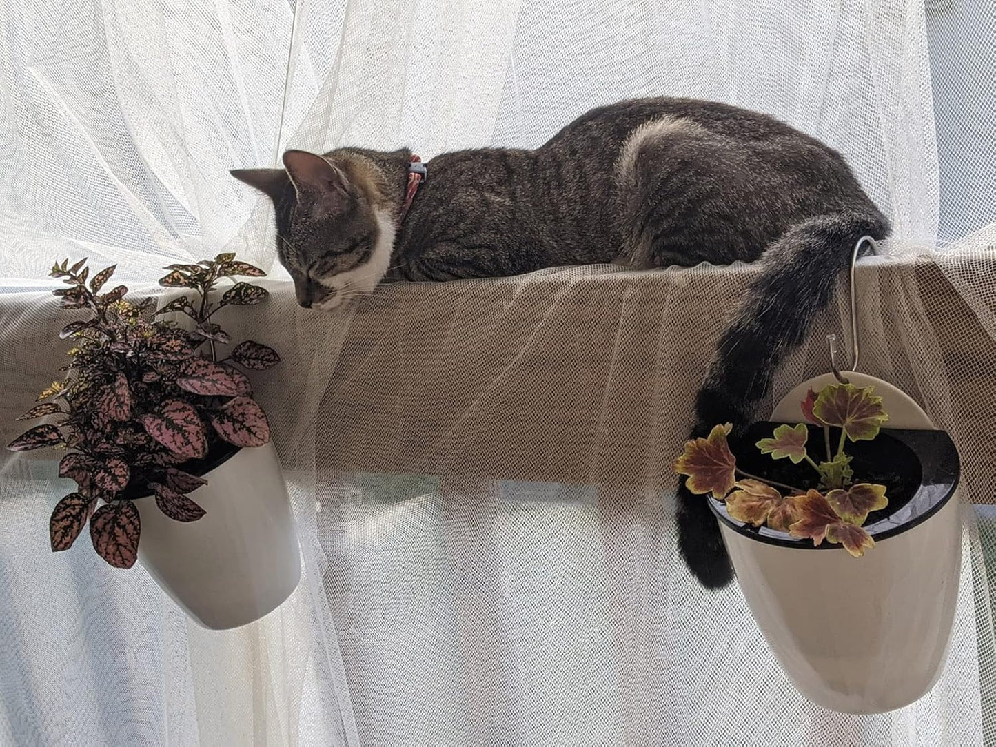 5 Packs 7.3”Wall Hanging Self Watering Planters Large Wall Mounted Plastic Plant Pots Wick Flower Pots for Indoor and Outdoor Wall Mounted Planters African Violet Pot Orchid Pots