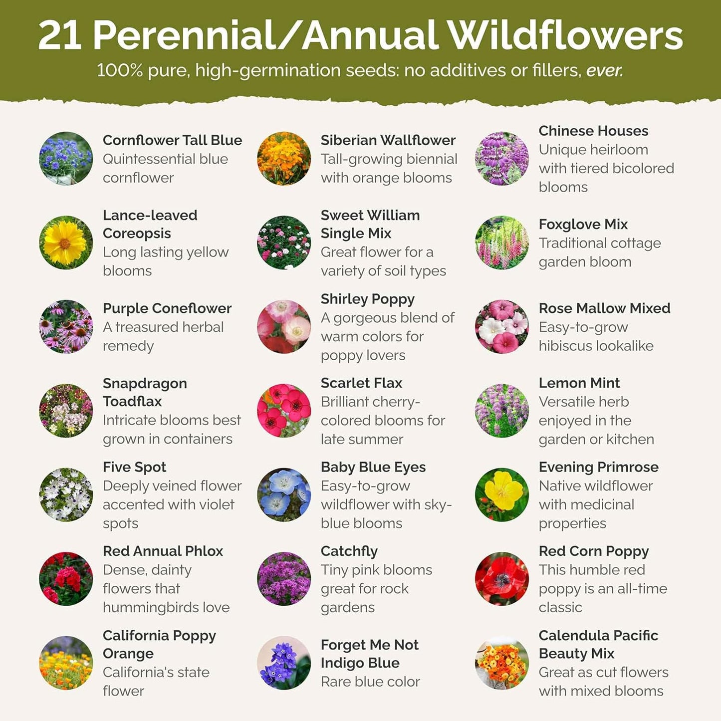 Eden Brothers Partial Shade Wildflower Mixed Seeds for Planting, 1/4 lb, 120,000+ Seeds with Sweet William, Foxglove | Attracts Pollinators, Plant in Spring or Fall, Zones 3, 4, 5, 6, 7, 8, 9, 10