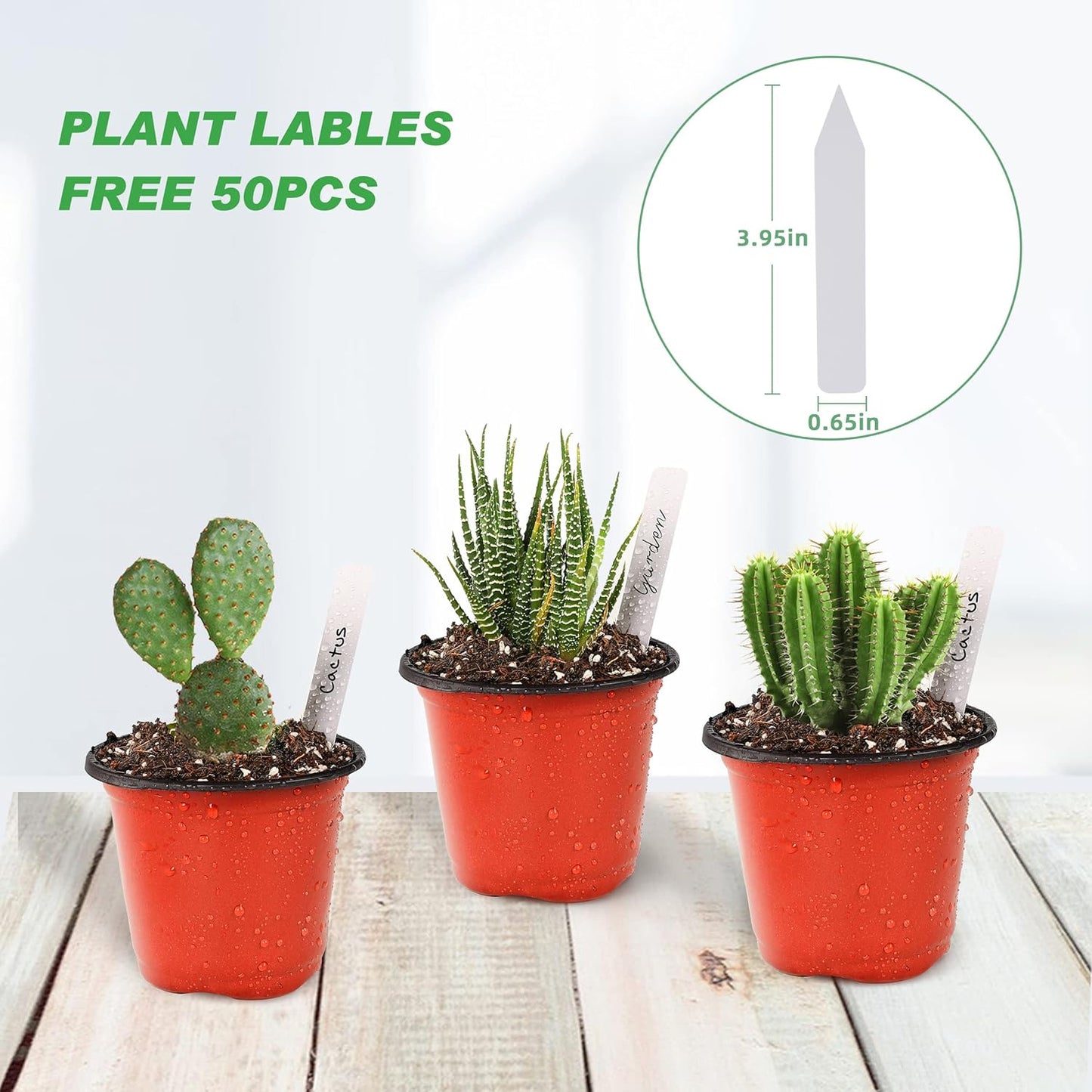 TDHDIKE Plastic Planter Nursery Pots 4" Small (50pcs) Seedlings Flower Pots Container Seed Starting Pots for Plants Come with 50pcs Labels