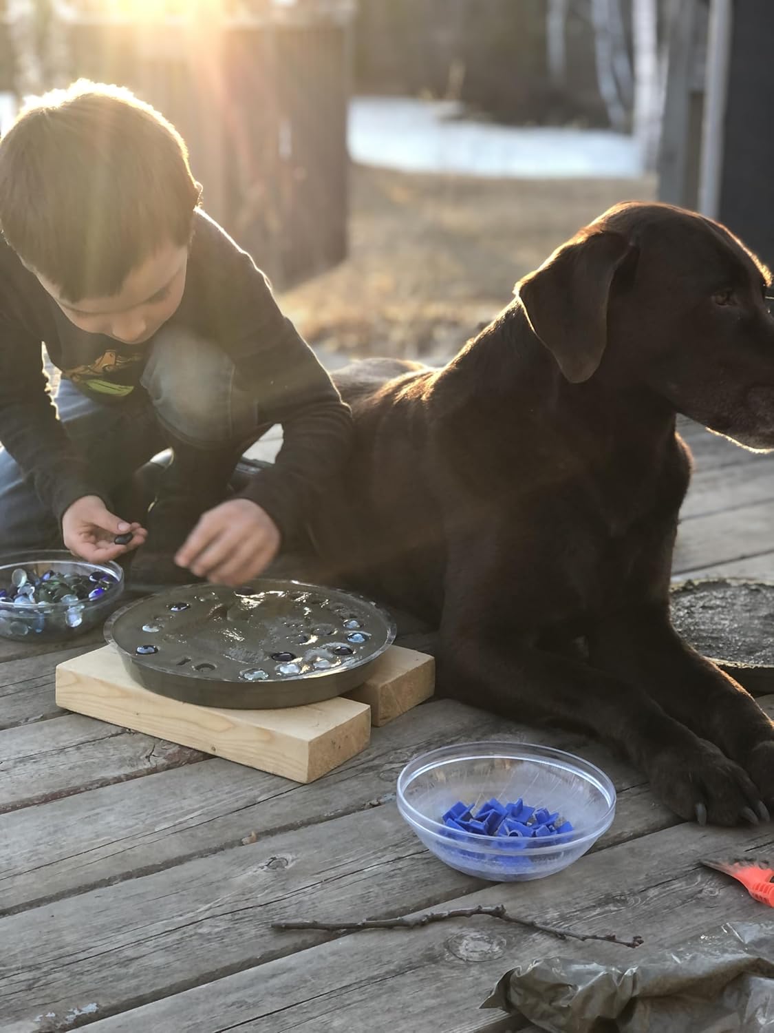 DIY Paw Print Stepping Stone Kit, Pet Memorial Stone, Pet Garden Stone (10 Inch)