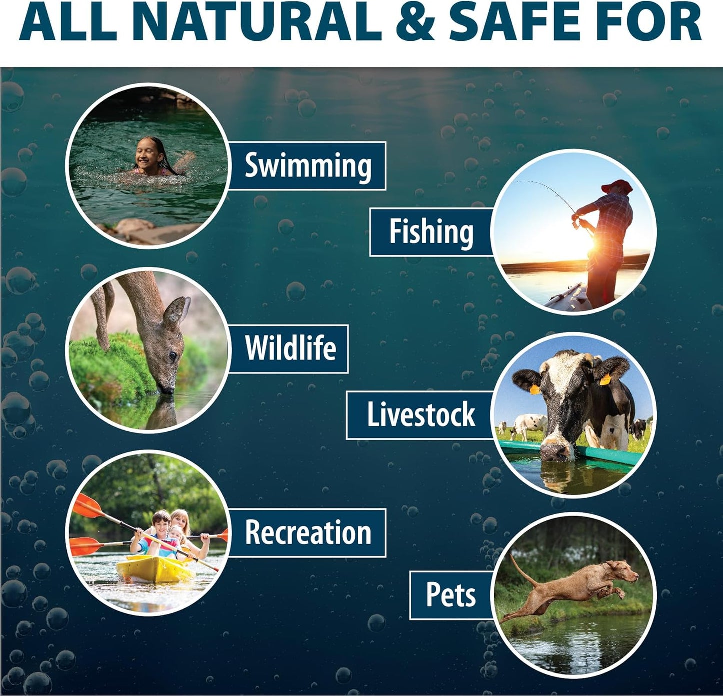 Airmax Pond Dye Packets Natures Blue Colorant for Large Pond & Lake, Beneficial UV Blocking Color Concentrate, Maintain Clean & Clear Water, Fish, Bird & Animal Safe, 4 Soluble Packets