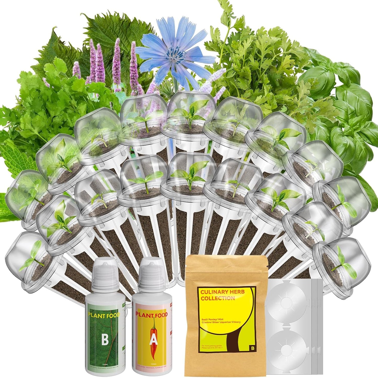 inbloom 18-Pod Herb Seed Pod Kit – Compatible with AeroGarden, Ahopegarden, Gardencube Hydroponic Garden with 350+ Seeds: Basil, Mint, Cilantro, Parsley, Shiso, Chicory, Liquorice – Mothers Day Gift