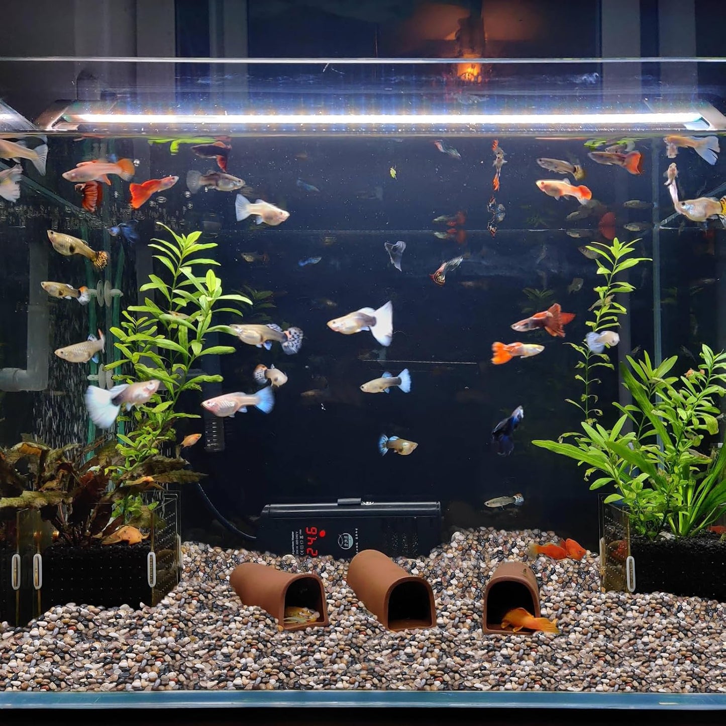 10lbs Rocks for Plants Indoor, 3/8 Inch Small Pebbles for Plants, Aquariums, Bamboo, Vase, Succulent, Outdoor Landscaping, Decorative Plant Rocks for Pots Indoor, Polished Mixed Color