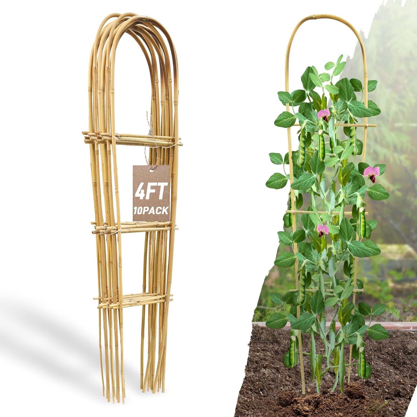 Avalution 10 Pack Bamboo U Trellis for Climbing Plants, 4 FT Garden Ladder Trellis for Potted Plants Indoor, Ladder Small Plant Support Trellis for Houseplants Ivy Hoya Vine Monstera