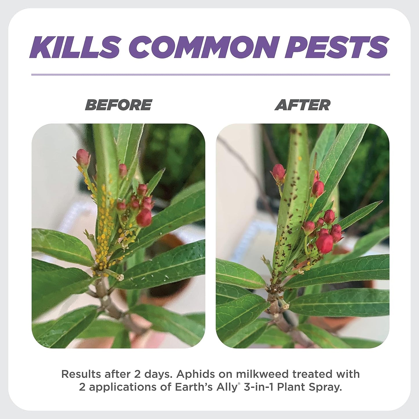 Earth's Ally 3-in-1 Plant Spray 8 oz Conc. Makes 6 gal | Better Than Neem Oil | Insecticide, Fungicide & Spider Mite Control for Organic Gardening, Pest Repellent for Indoor & Outdoor Gardening