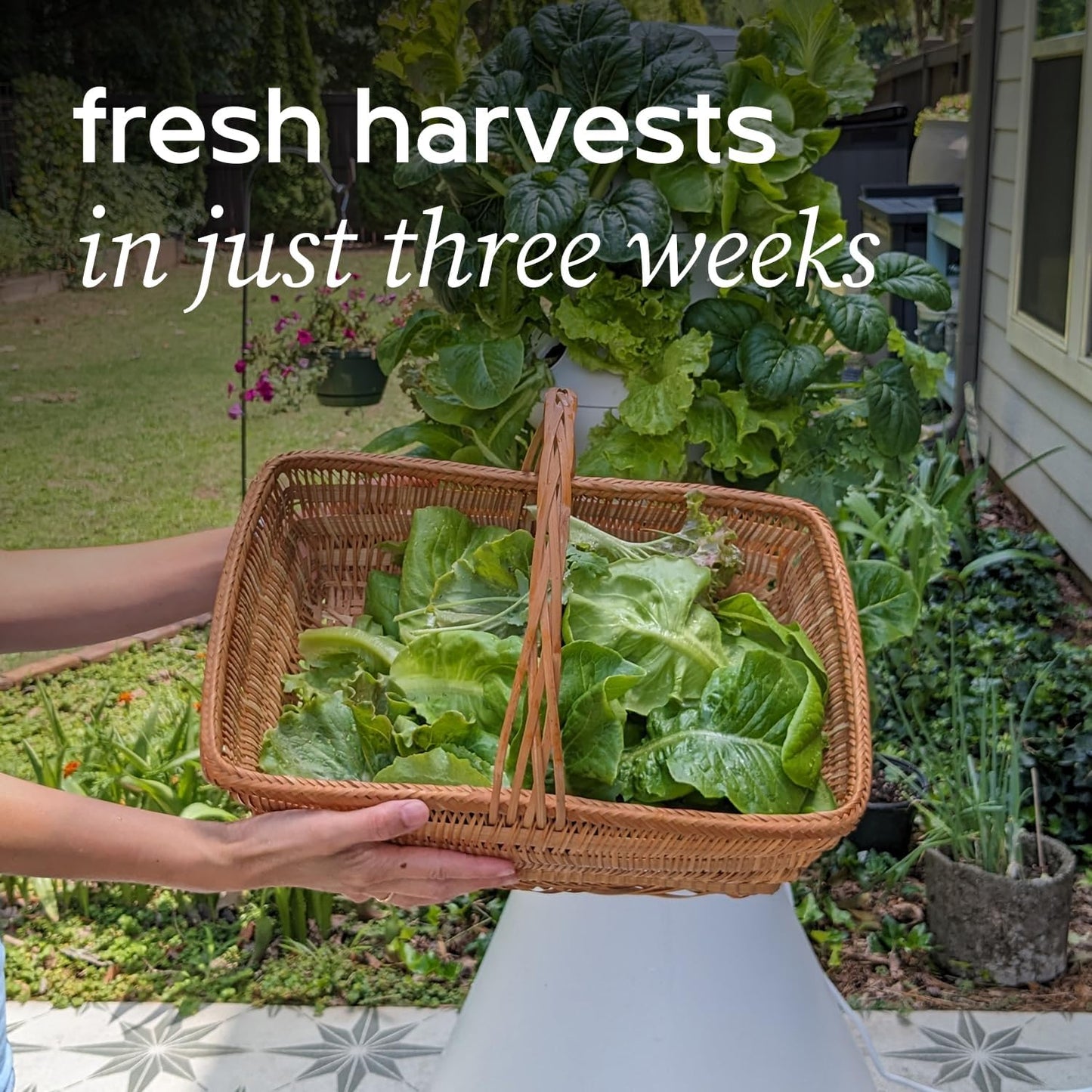 Farmstand Starter Kit + 12 Seedling Credits | Tiny Hydroponic Growing System Kit | Self-Watering Outdoor Vertical Garden Planter Tower | 3ft 8in | Made in USA