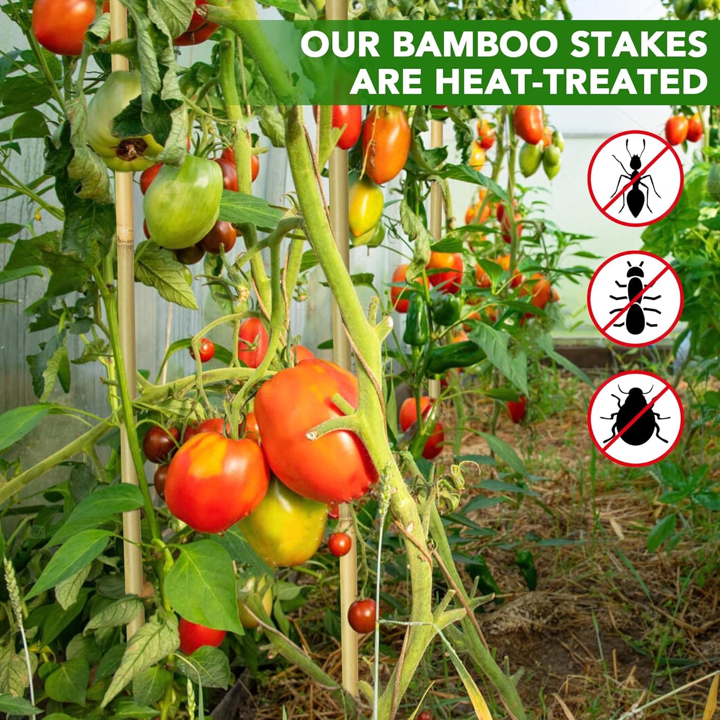 200 Pcs 18 inches Bamboo Stakes, Natural Bamboo Sticks Plant Support Stake for Indoor and Outdoor Climbing Plants