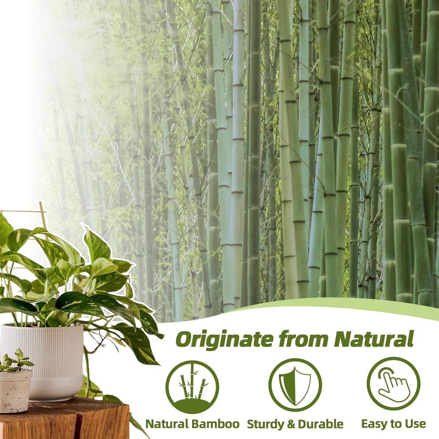 Avalution 20 Pack Bamboo Trellis for Climbing Plants Indoor, 16 Inch Garden Ladder Trellis for Potted Plants, Fan-Shaped Small Plant Support Trellis for Houseplants Ivy Hoya Vine Monstera