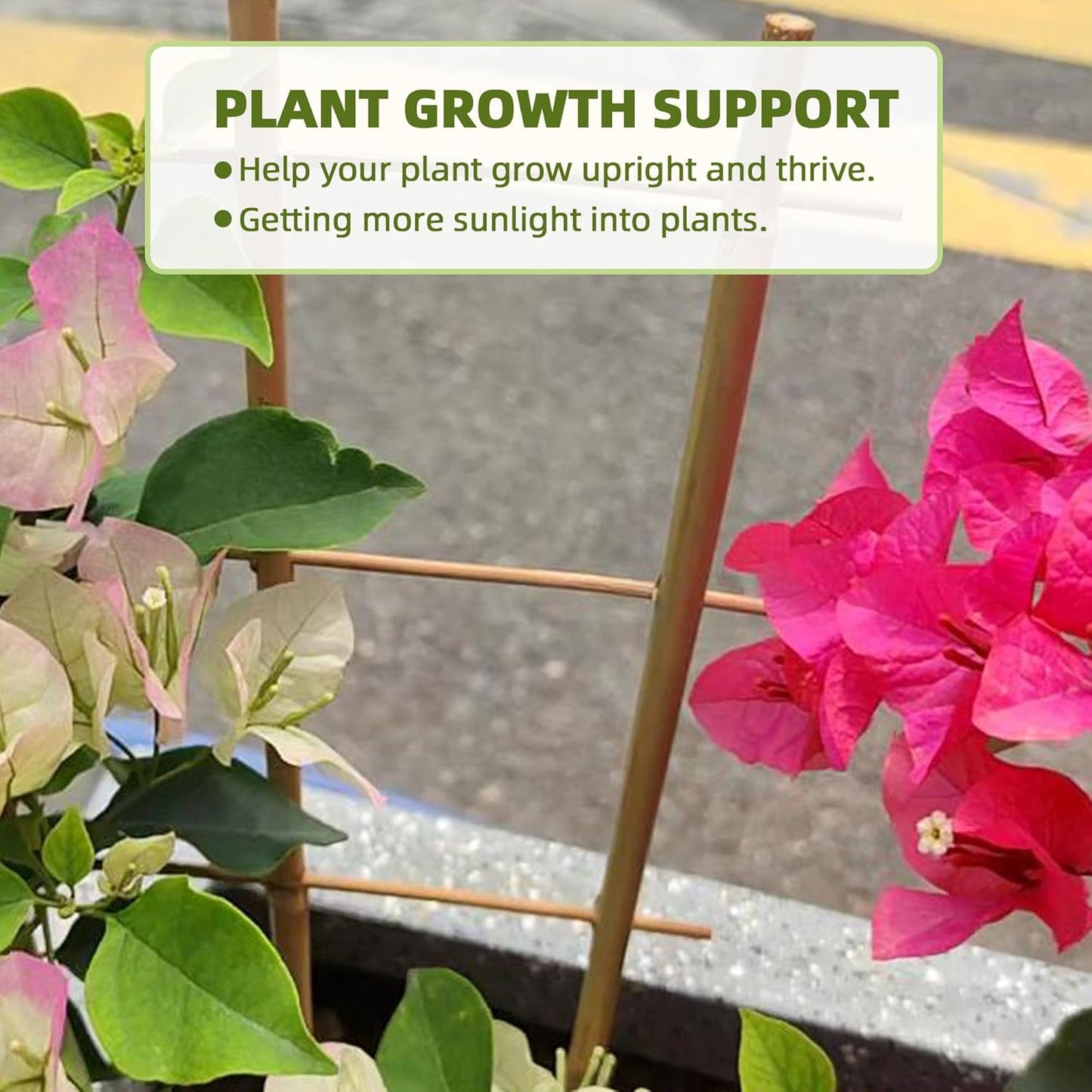 Avalution 5 Pack Bamboo Trellis for Climbing Plants Indoor, 16 Inch Garden Ladder Trellis for Potted Plants, Fan-Shaped Small Plant Support Trellis for Houseplants Ivy Hoya Vine Monstera