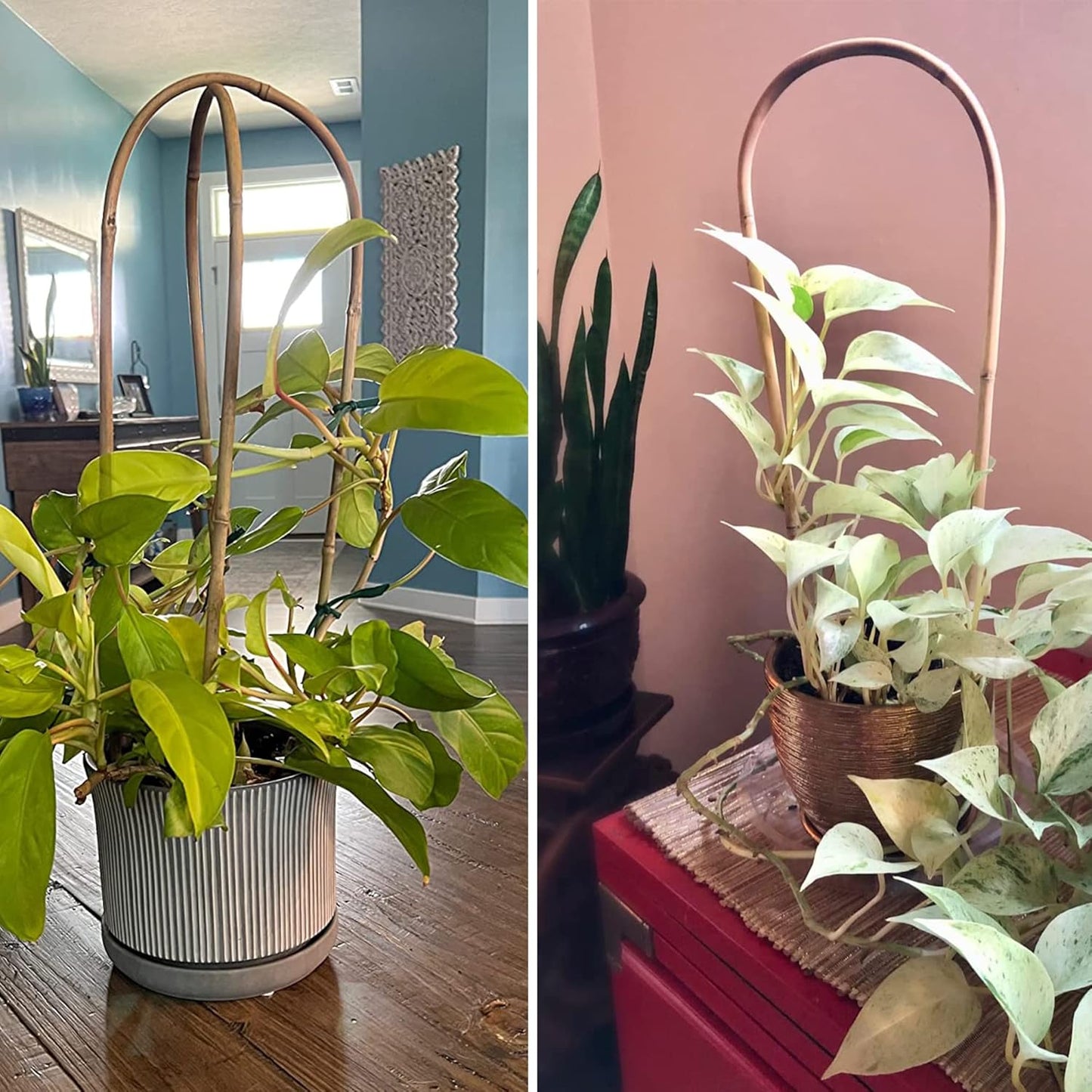 Avalution 16" Natural Bamboo Plants Trellis U-Hoop,Bamboo Gaeden Trellis U-Shape for Climbing Plant Support-20PCS