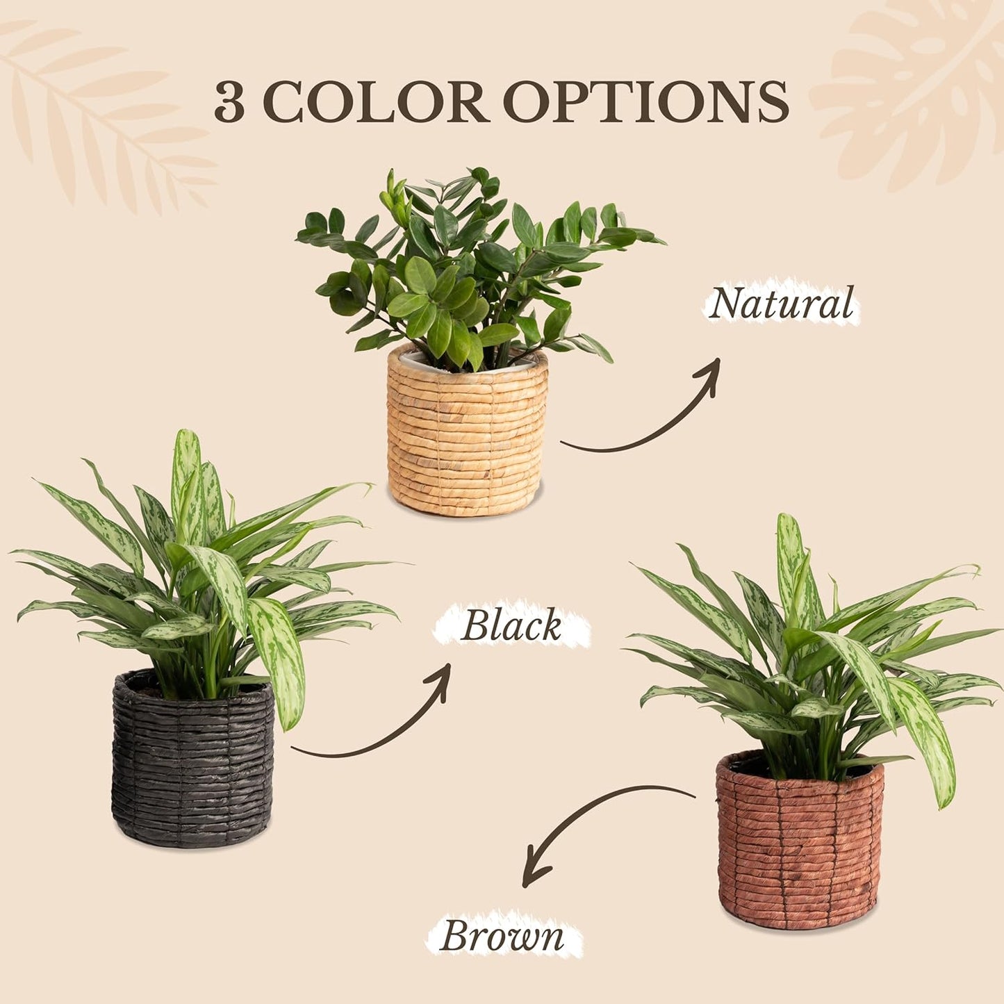 Set of 2 Water Hyacinth Planter Pot Indoor for Plant, Flower Pot, Succulent Pot, Basket Planter, Decorative Pot Cover (Black)