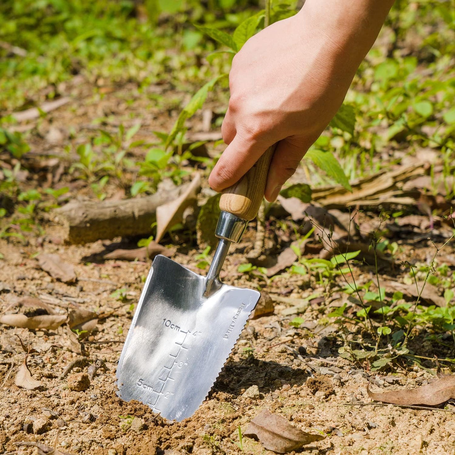 Berry&Bird Garden Serrated Planting Trowel, Multifunctional Shovel with ash Wood and Stainless Steel Digging Trowel Transplanter