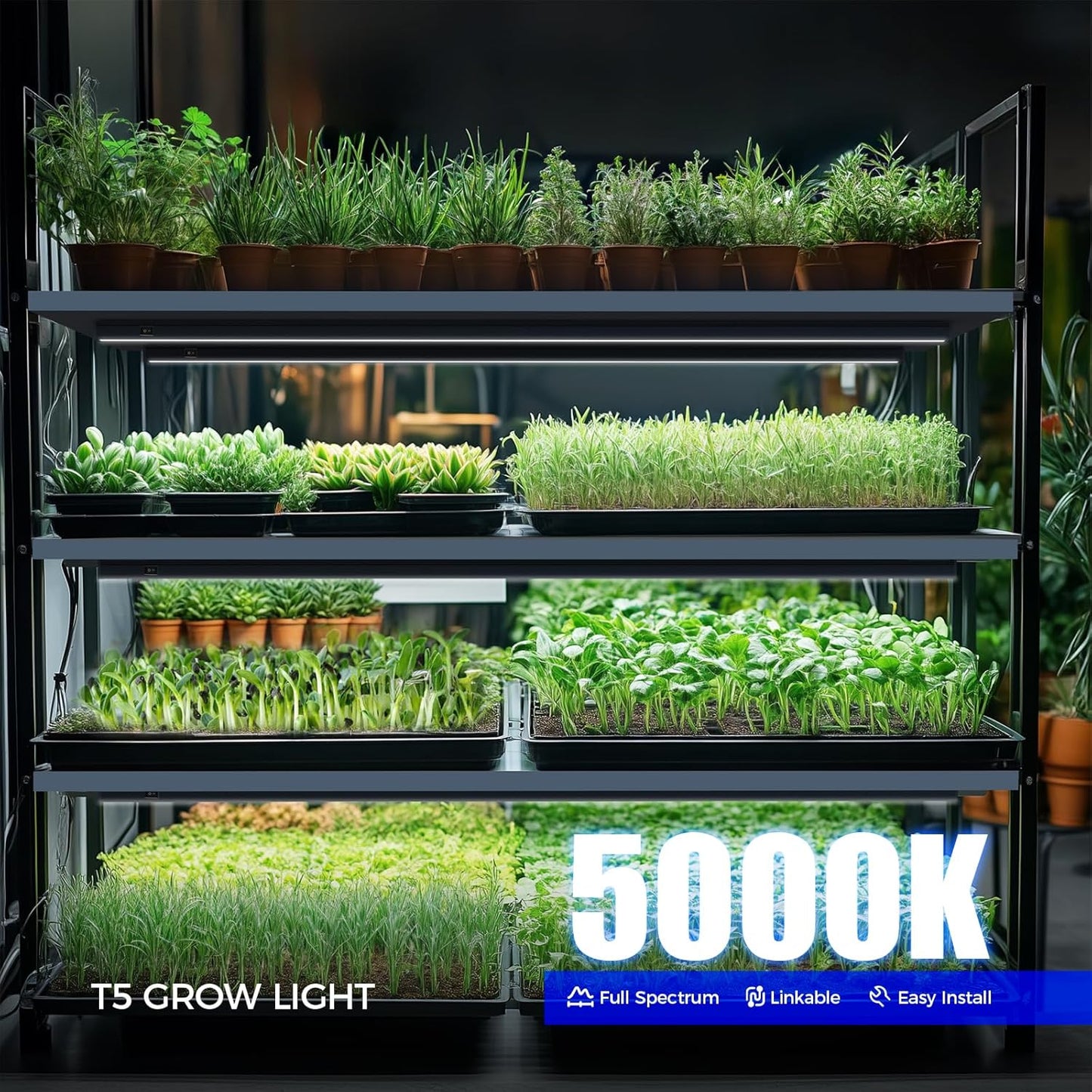 Barrina T5 Plant Lights for Indoor Growing, 3FT 128W (8 X 16W) Led Grow Light with Magnetic Design, Full Spectrum Grow Light Strip with Black Cover, Plug and Play, 5000K, 8 Packs