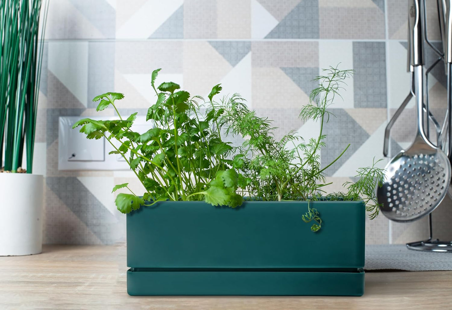 D'vine Dev 12 Inch Window Box Planter, Rectangle Plastic Herb Planter with Drainage Holes and Saucer, Indoor Succulent Cactus Vegetable Pot for Windowsill, Garden Balcony, Green, Set of 2, 76-X-C-2