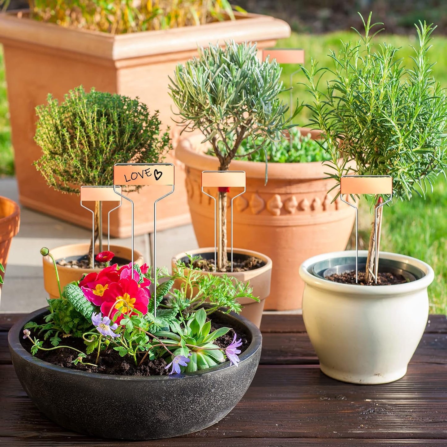 Moxweyeni 60 Pcs Metal Garden Tags Plant Labels for Garden Waterproof Plant Markers with 2 Permanent Pen Planting Nursery Tags Reusable Labels Stake for Plants(Copper,10 Inch)