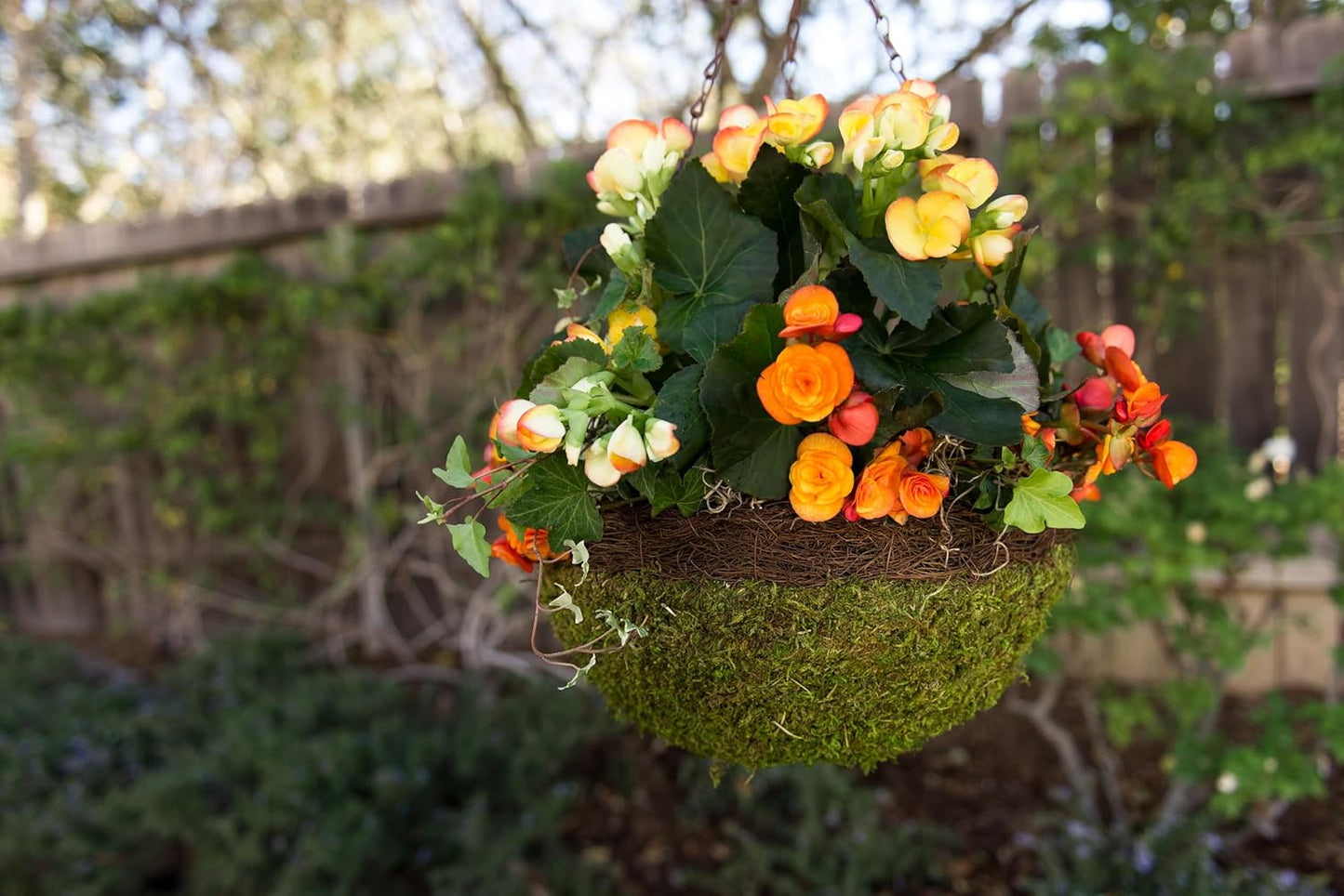 SuperMoss (29205 MossWeave Hanging Basket | Outdoor Hanging Planter with Moss | Decorative Plant Hanger for Porch, Balcony, Garden & Home Décor, Round with Wicker Rim, Large 16.5” D, Green